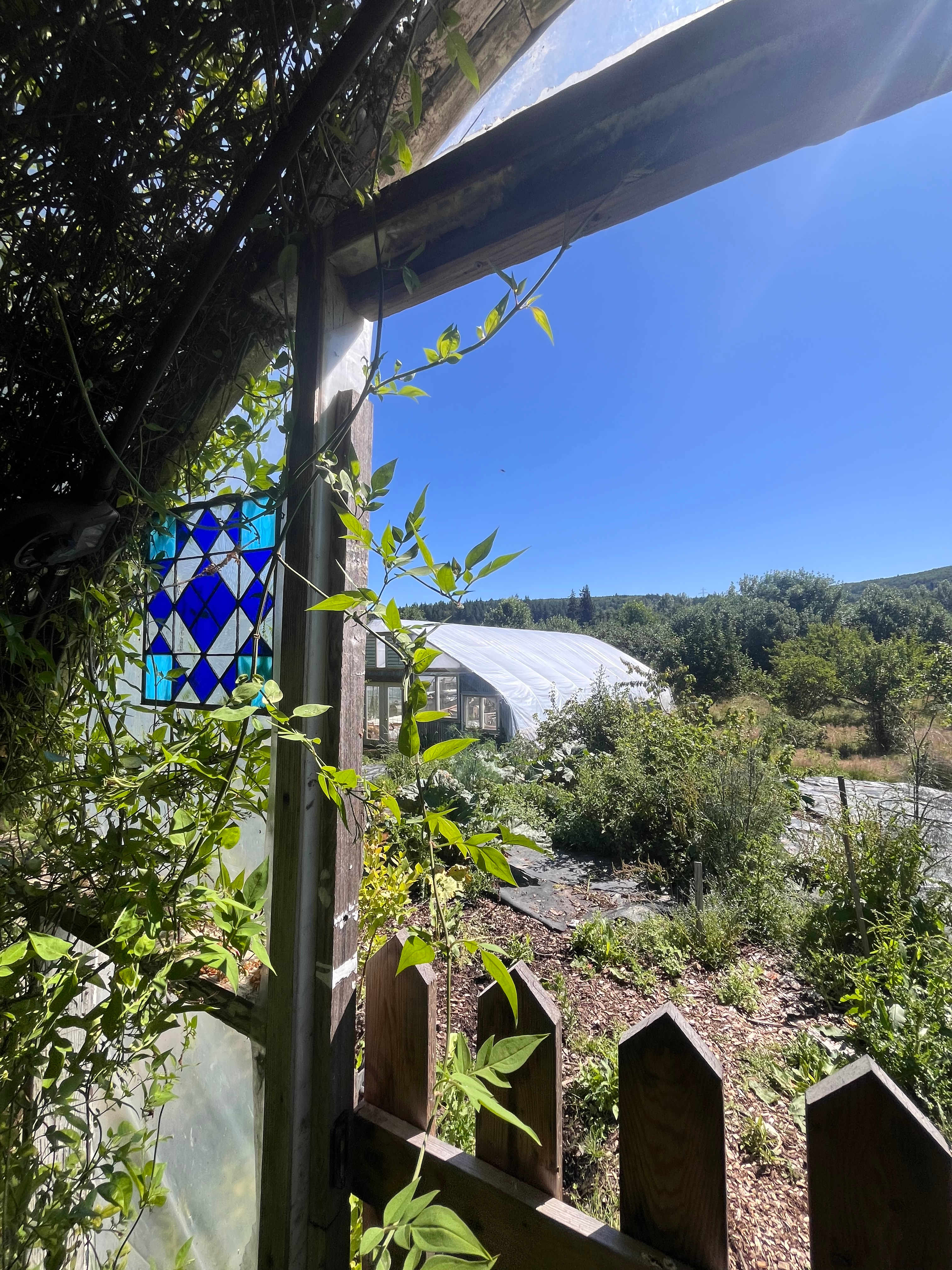 Compass Rose Farms