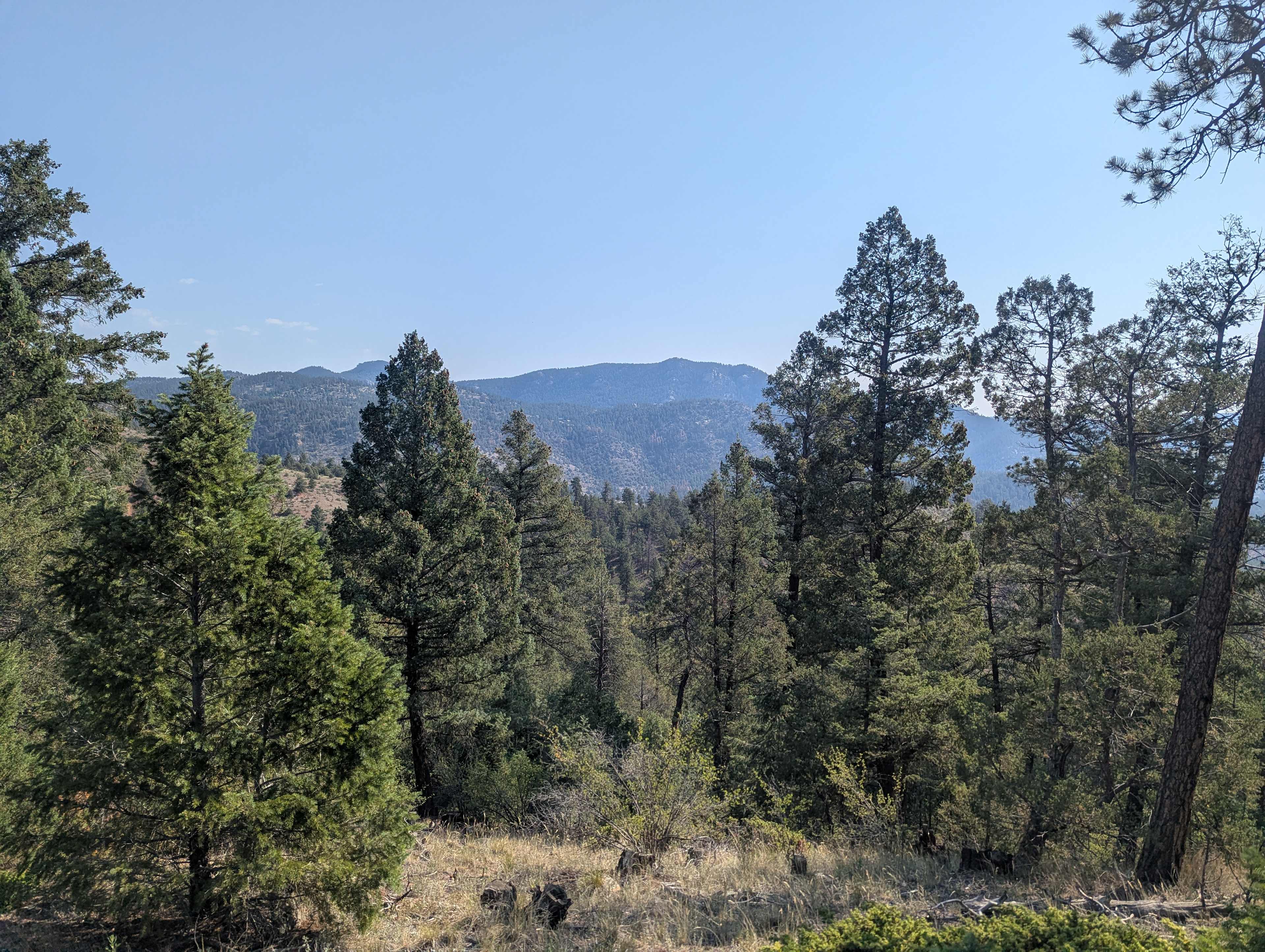 Serenity in the Foothills