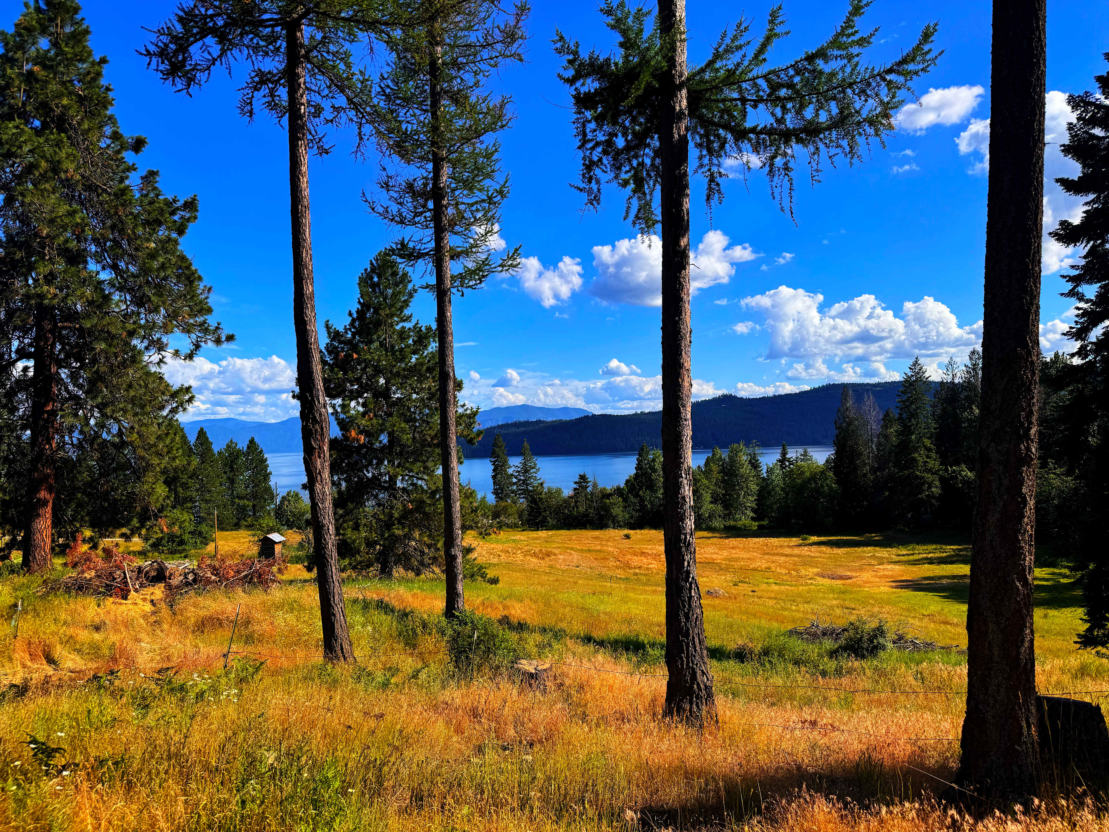 Lakeview Majesty