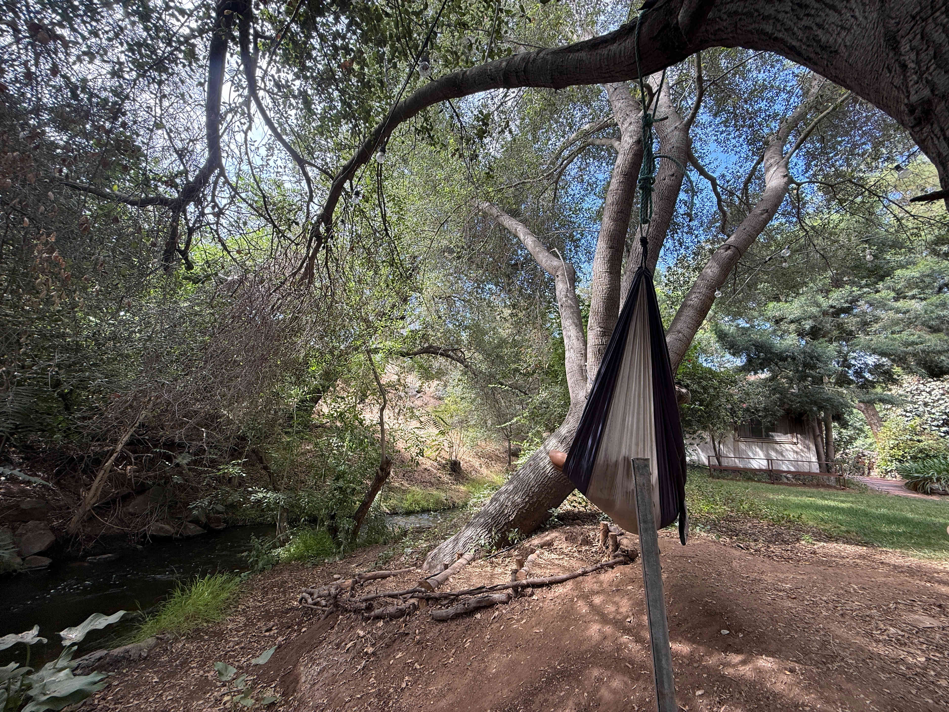 Wild Seeds Ranch