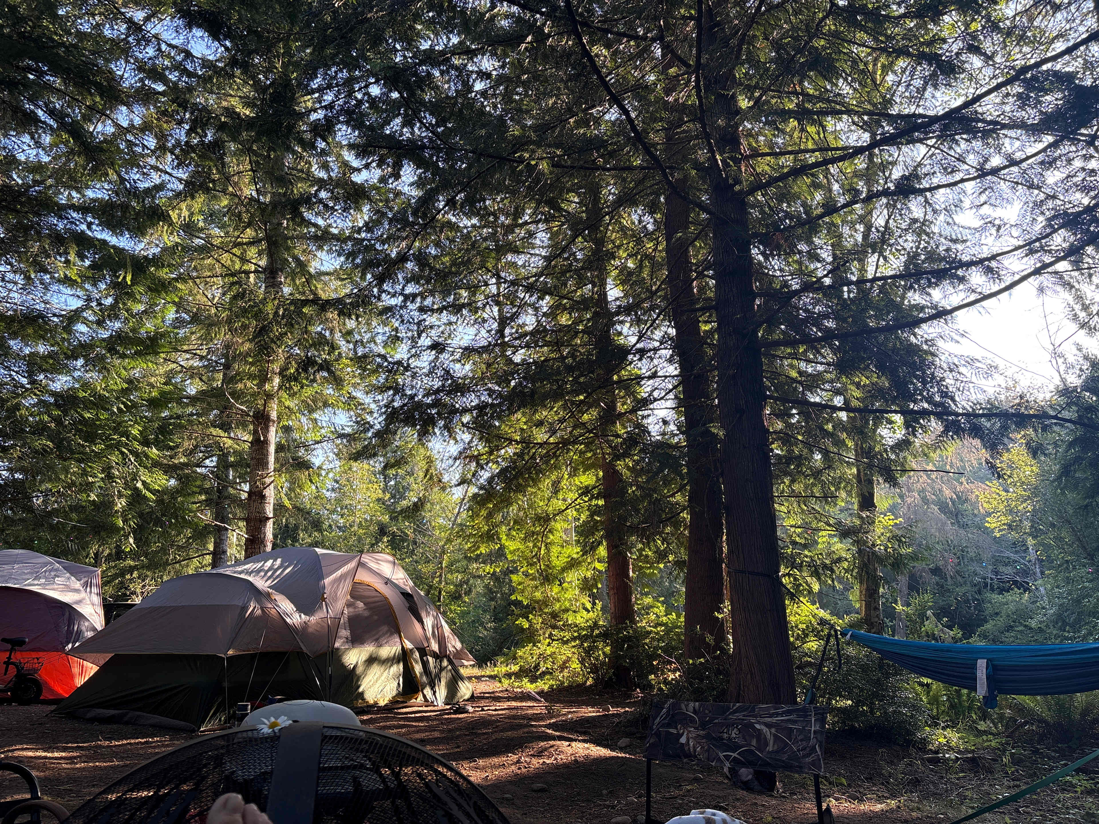 Morning view