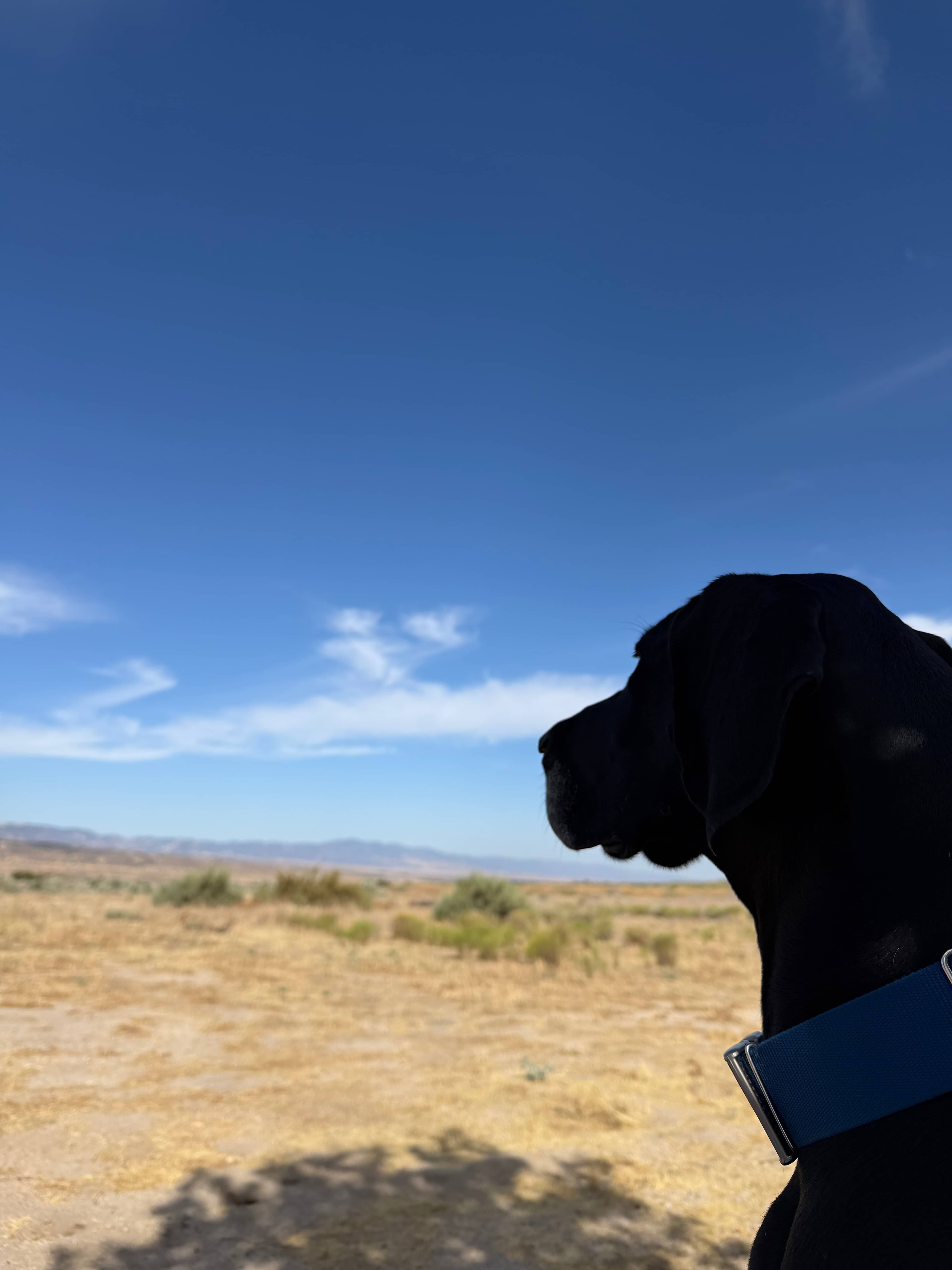 Cuyama Badlands