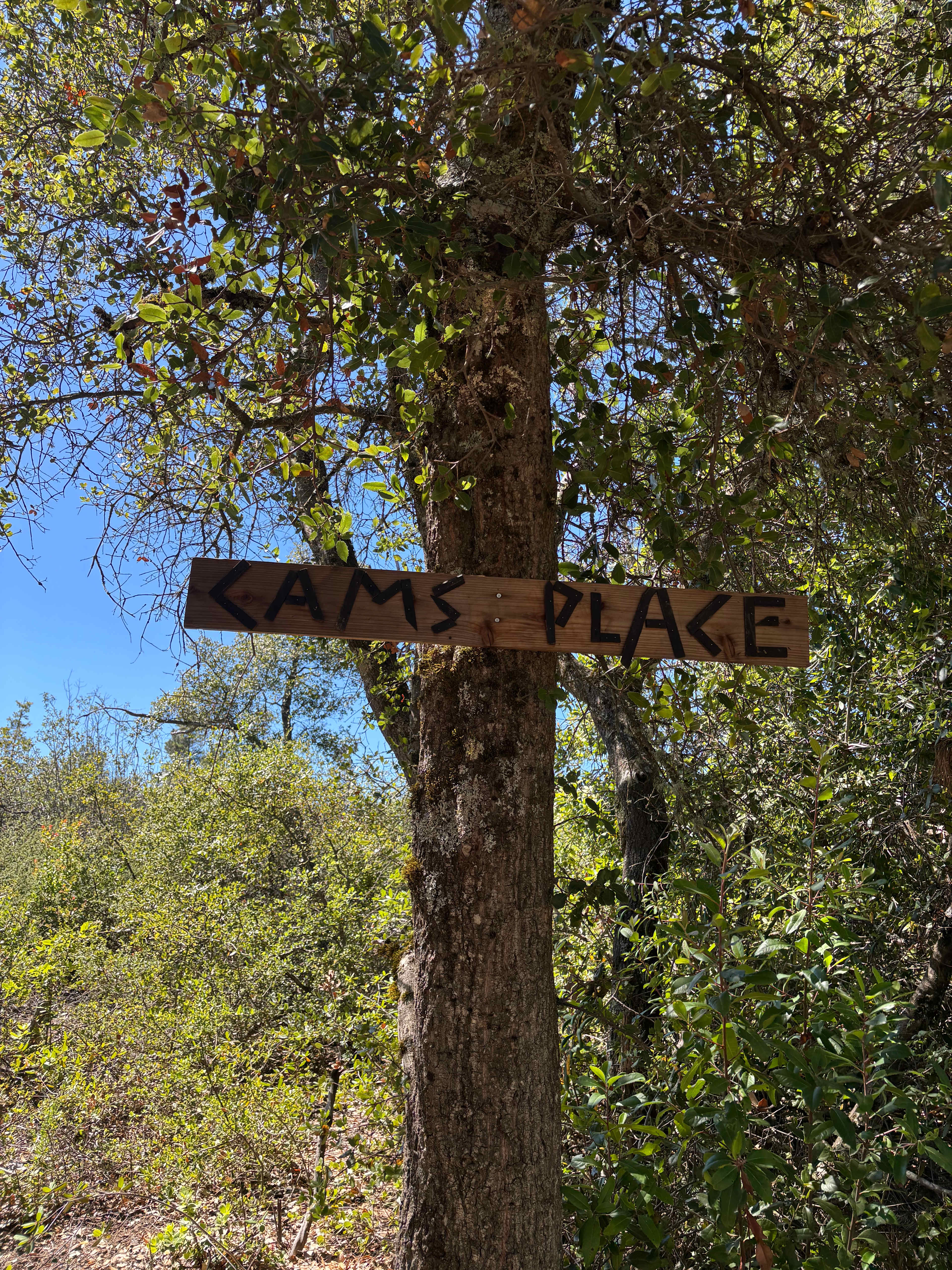 Camp Rewilding