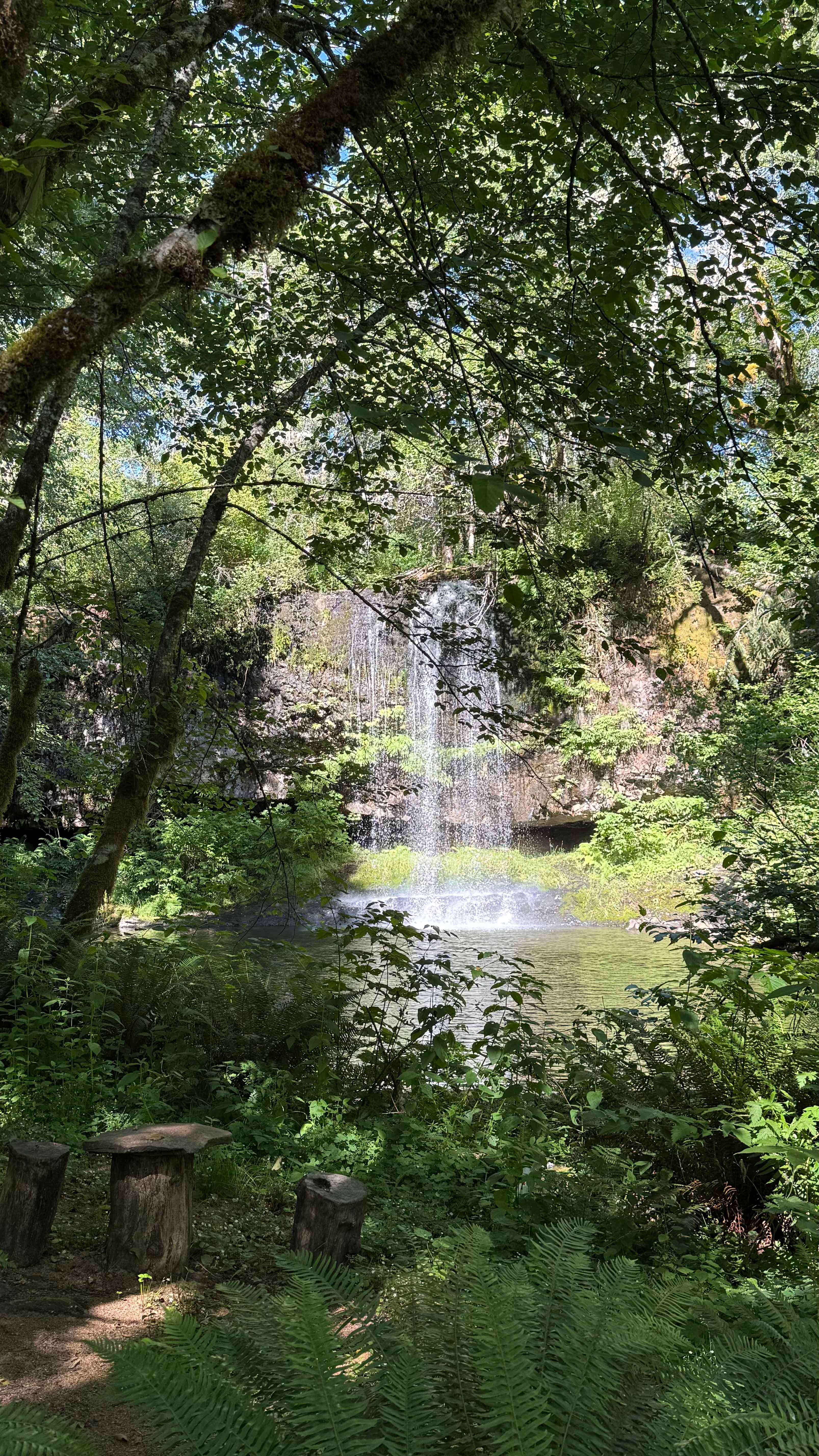 The Falls at Elk Prairie