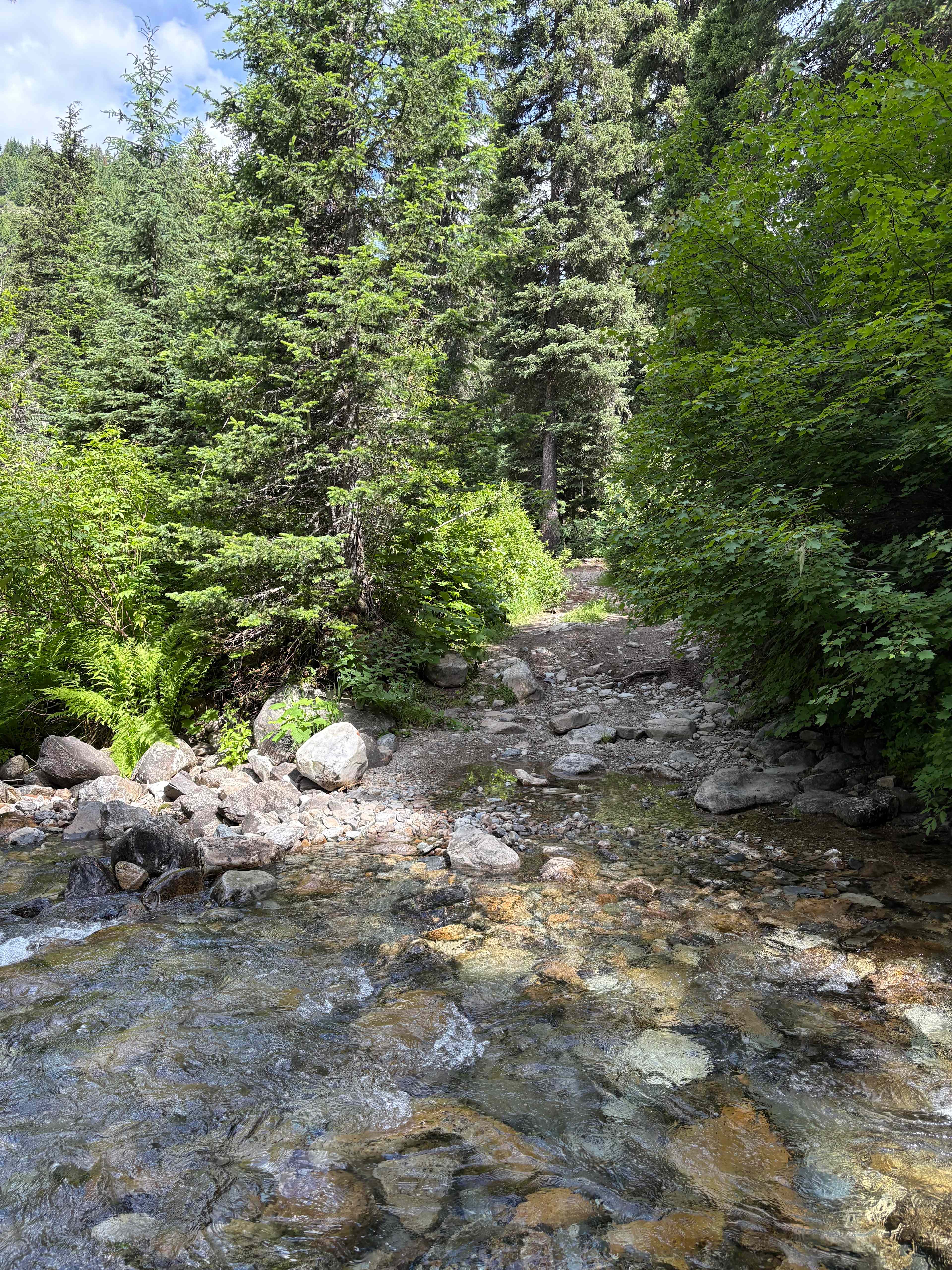 Beautiful water ways