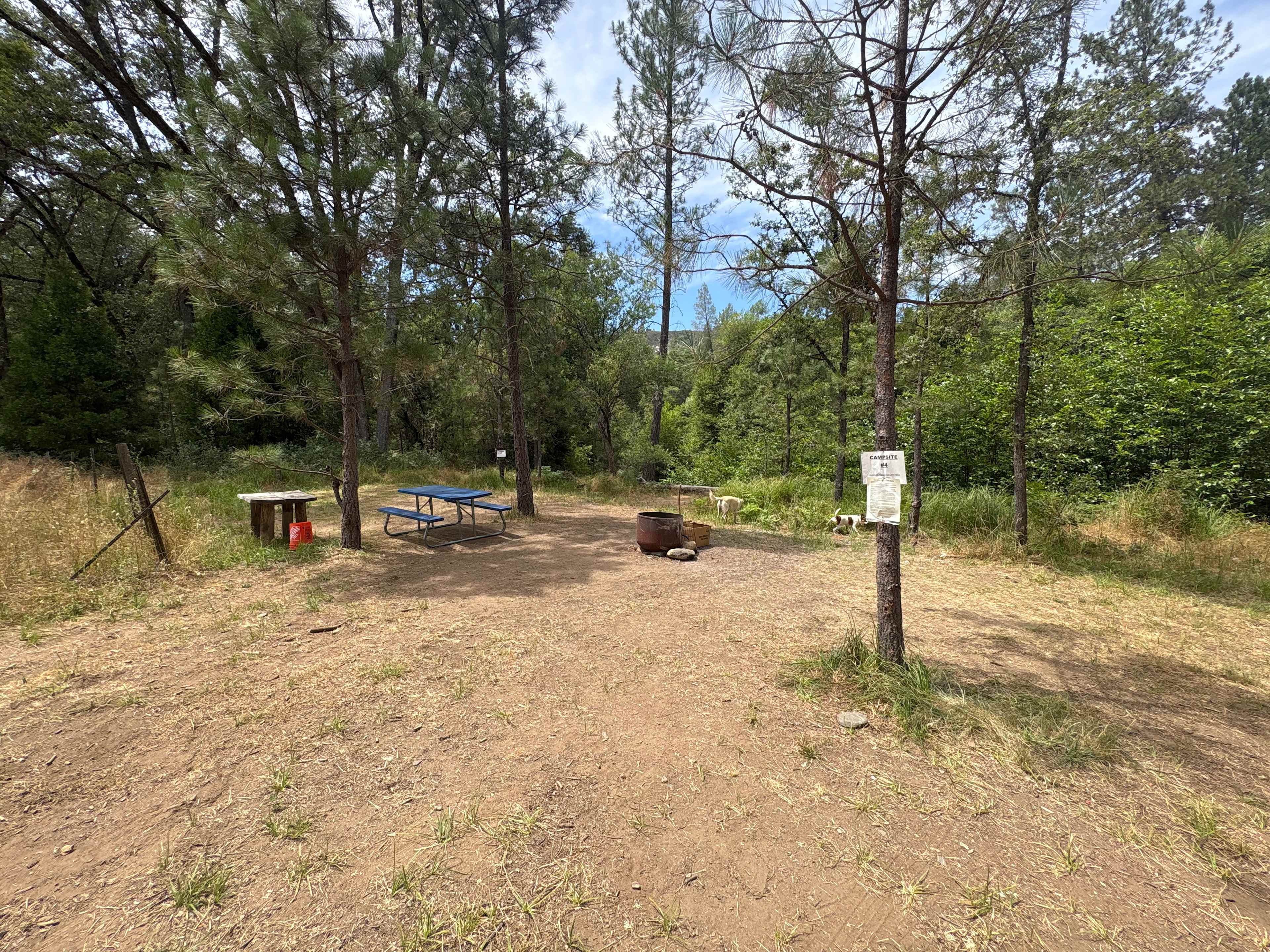 Site 4 pull in