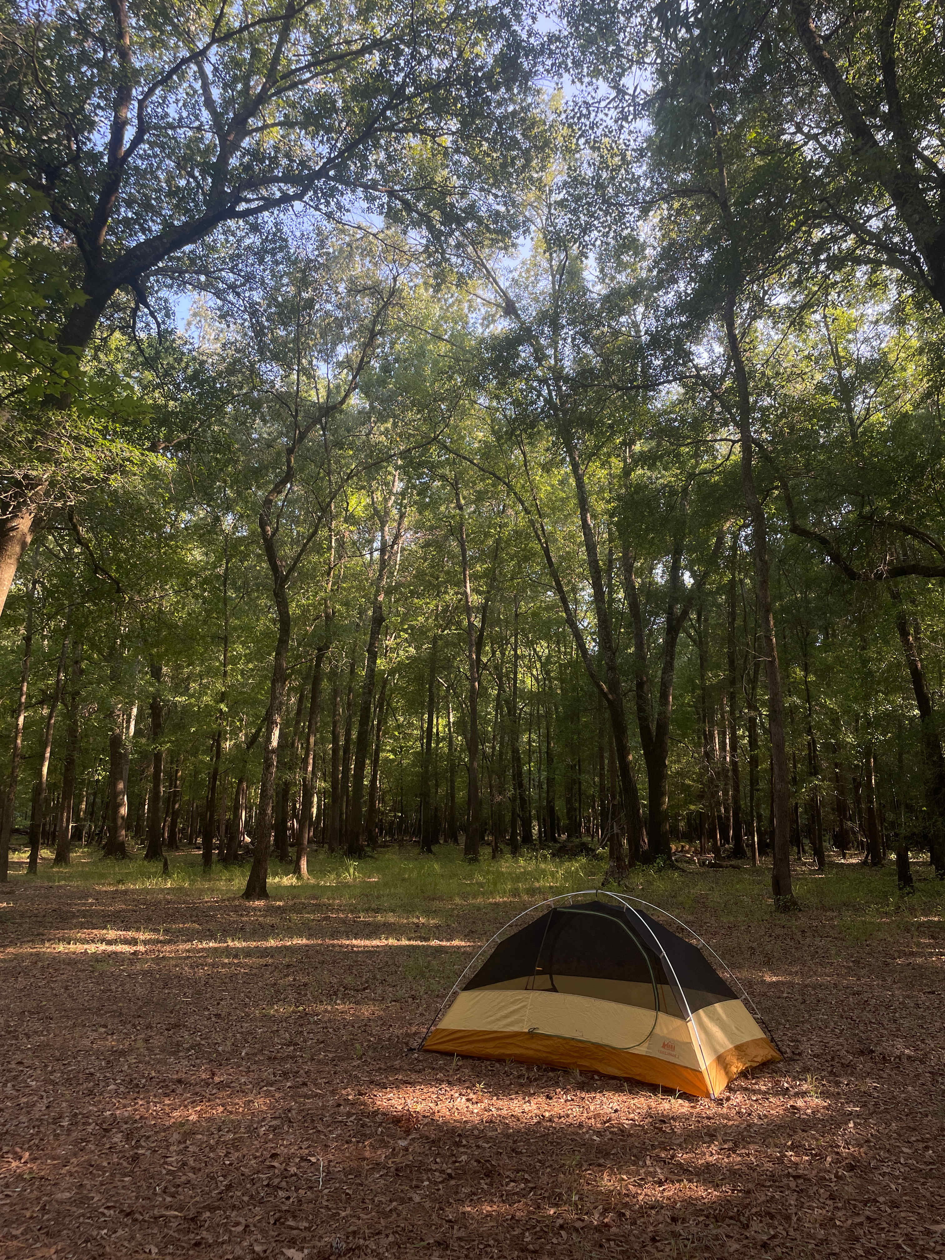 Black River Camping Ventures