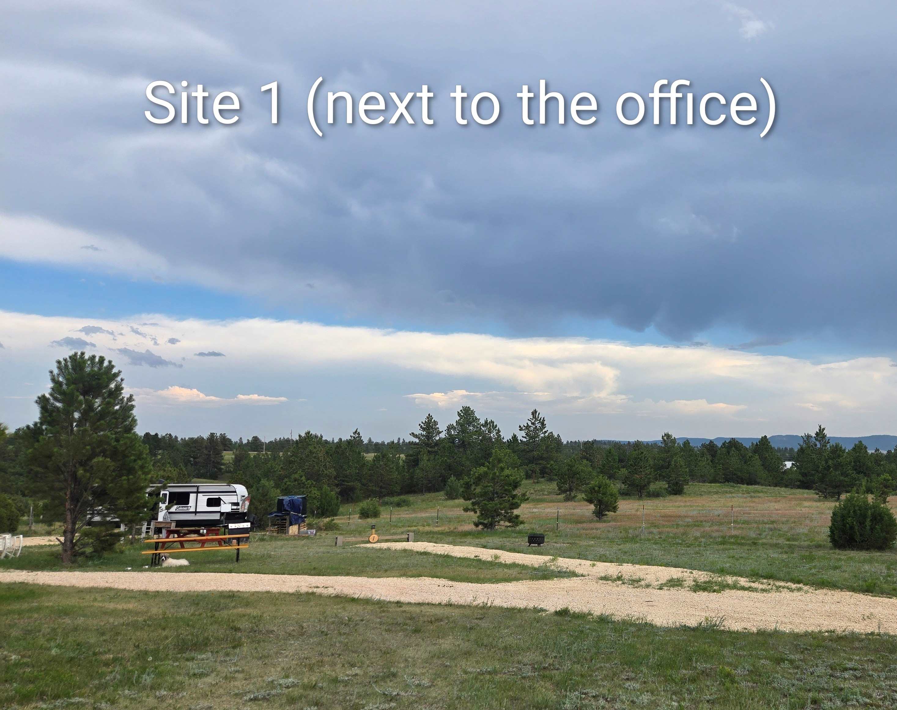 Picture of the site