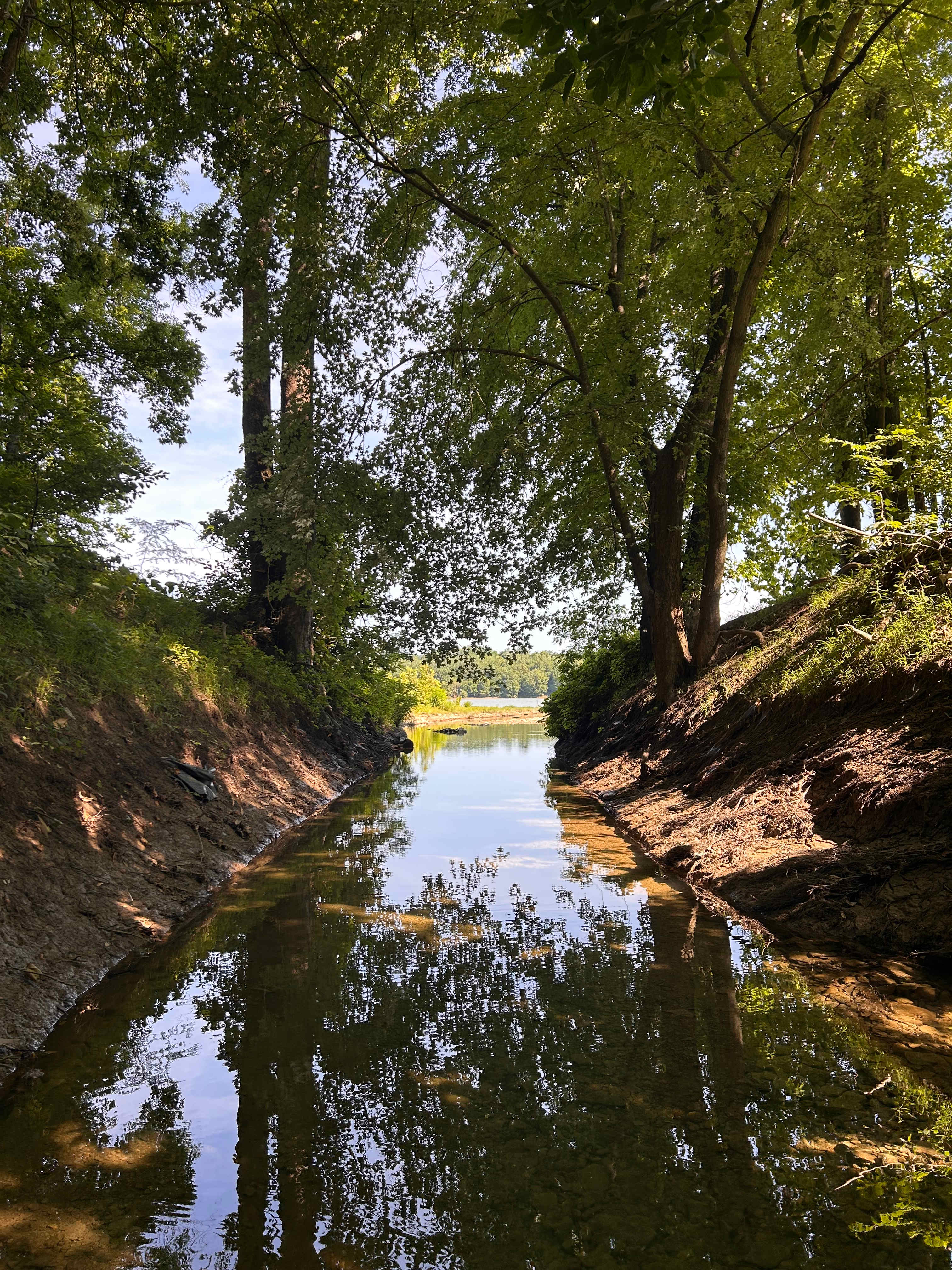 Walk the creek all the way to the river!