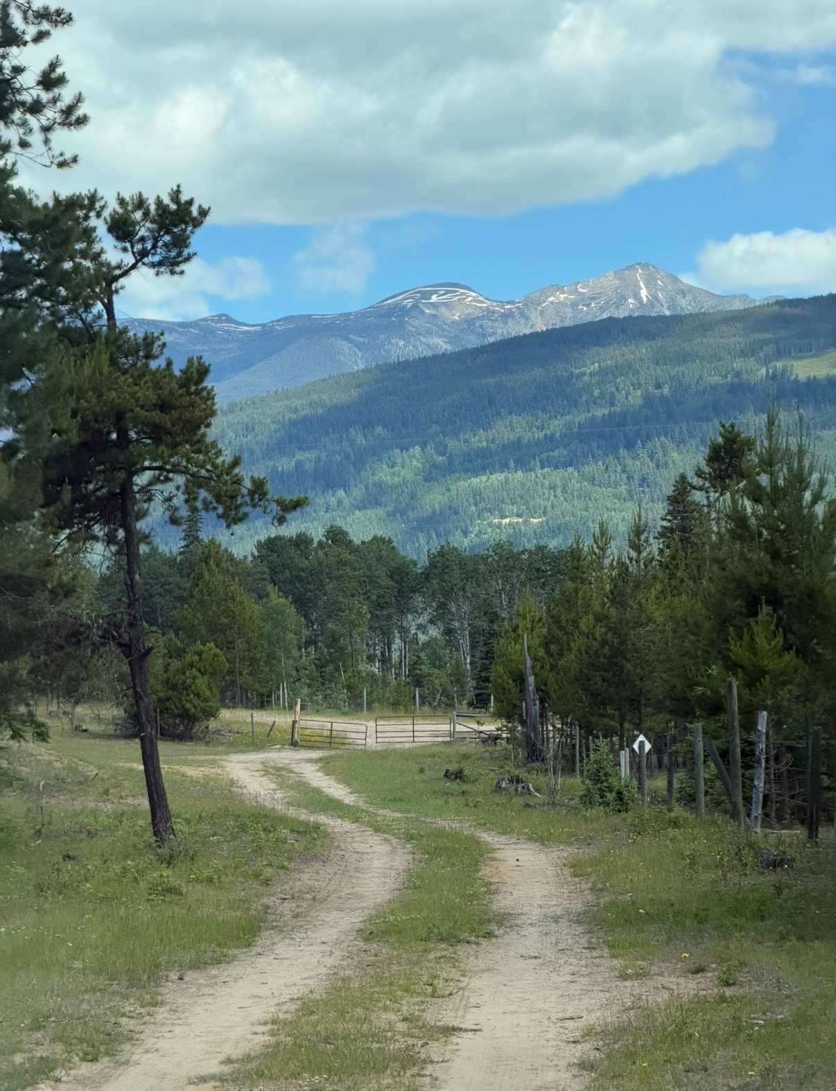 Road entering the ranch