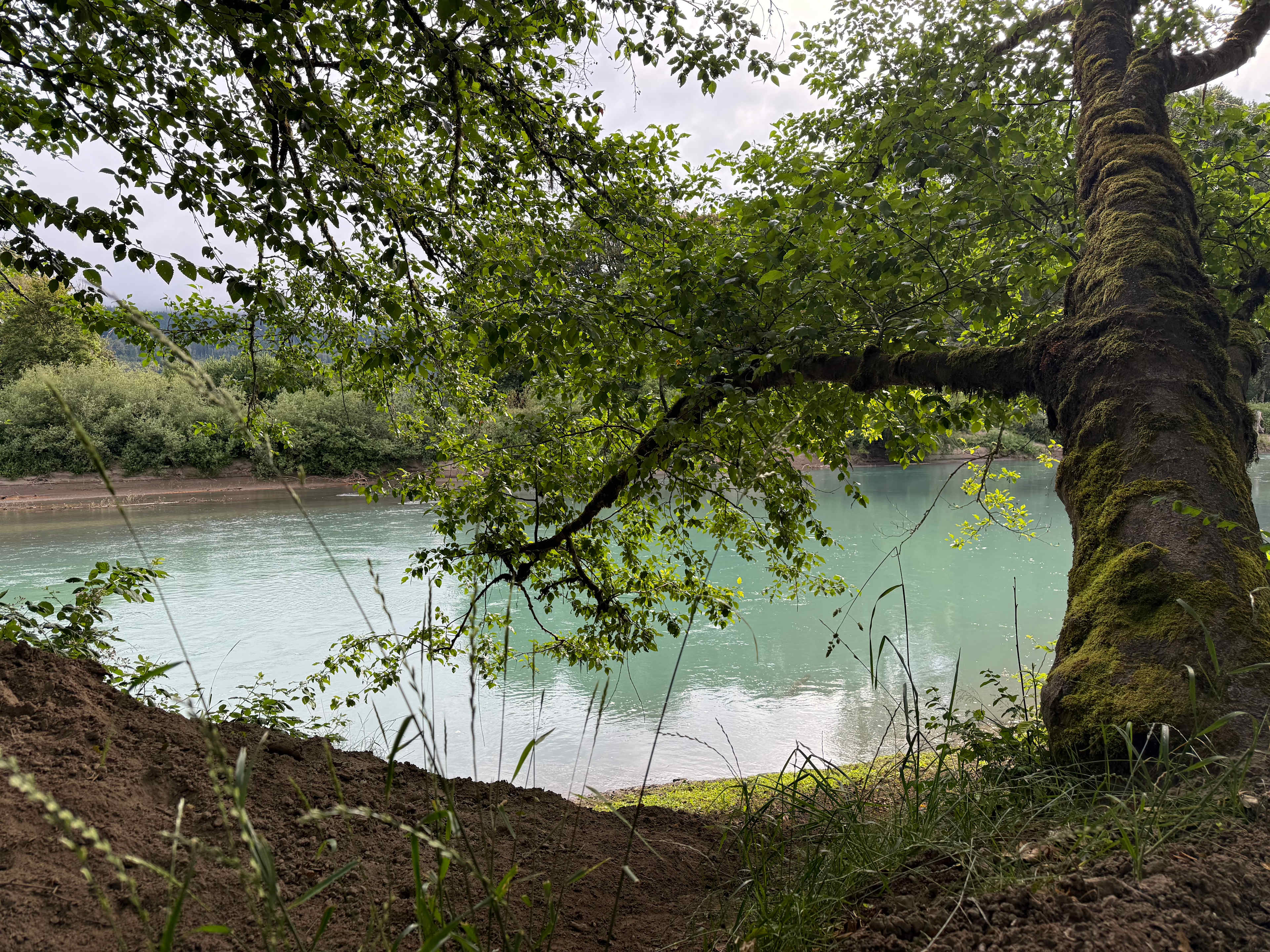 Cowlitz River Rentals