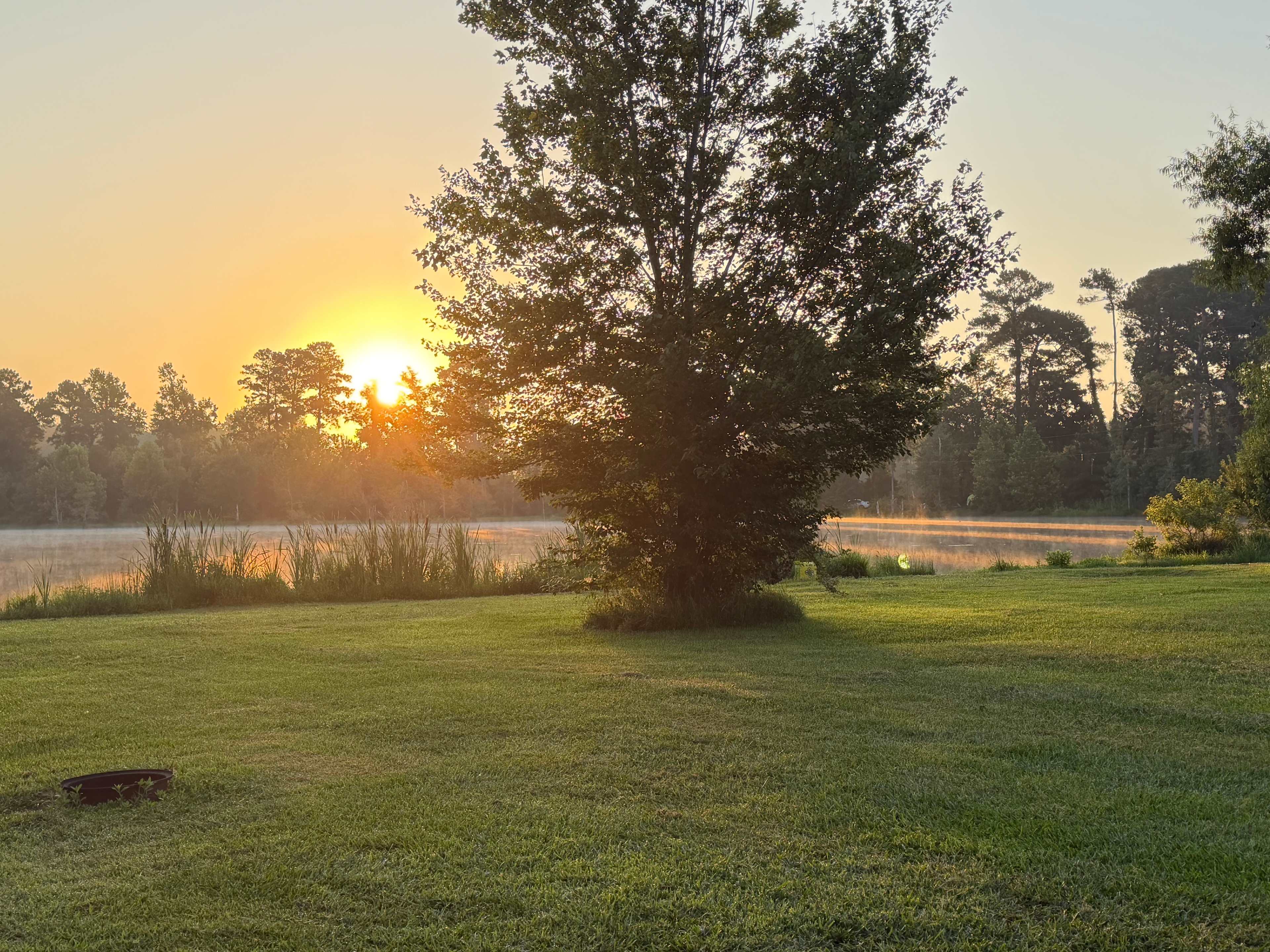 JCO Campground at Lee Baysden Pond