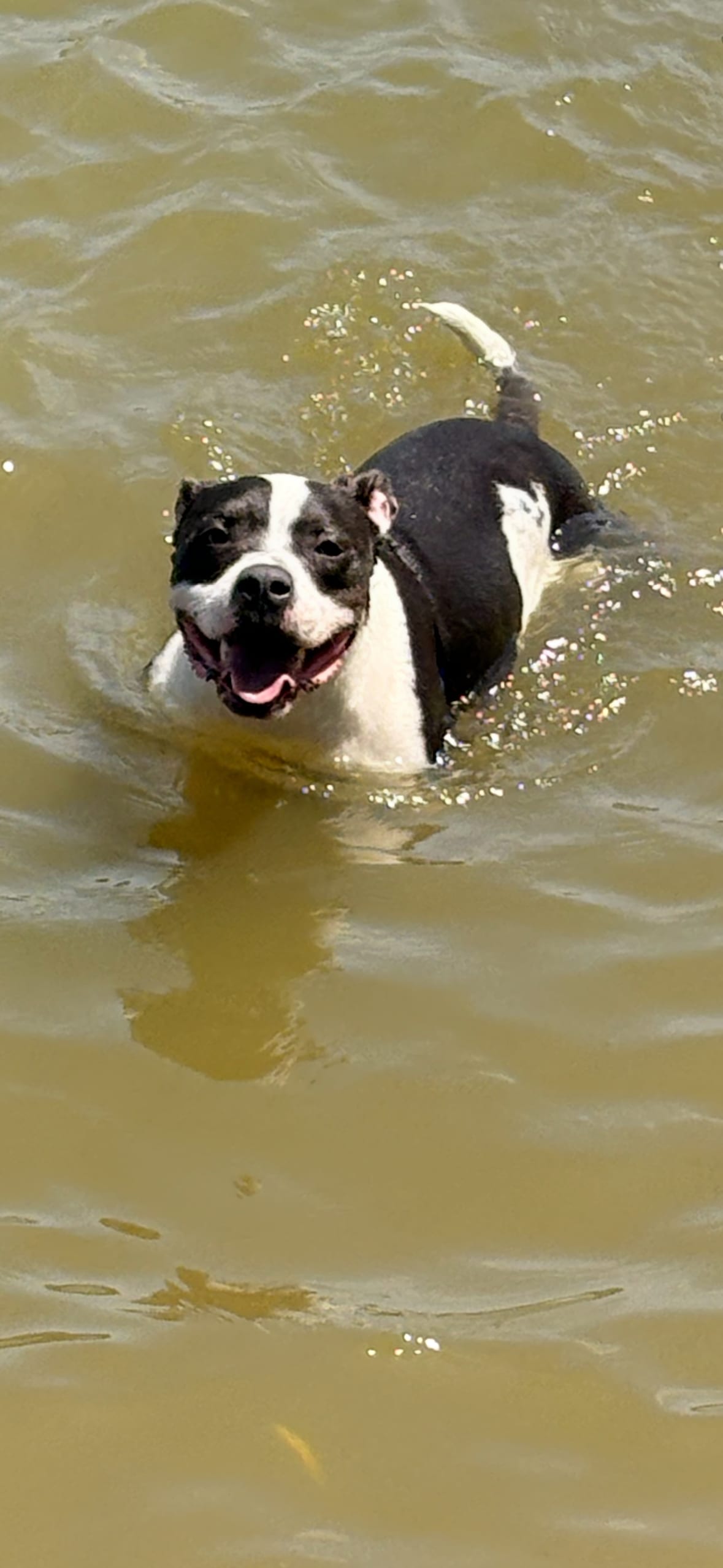 Fun in the water