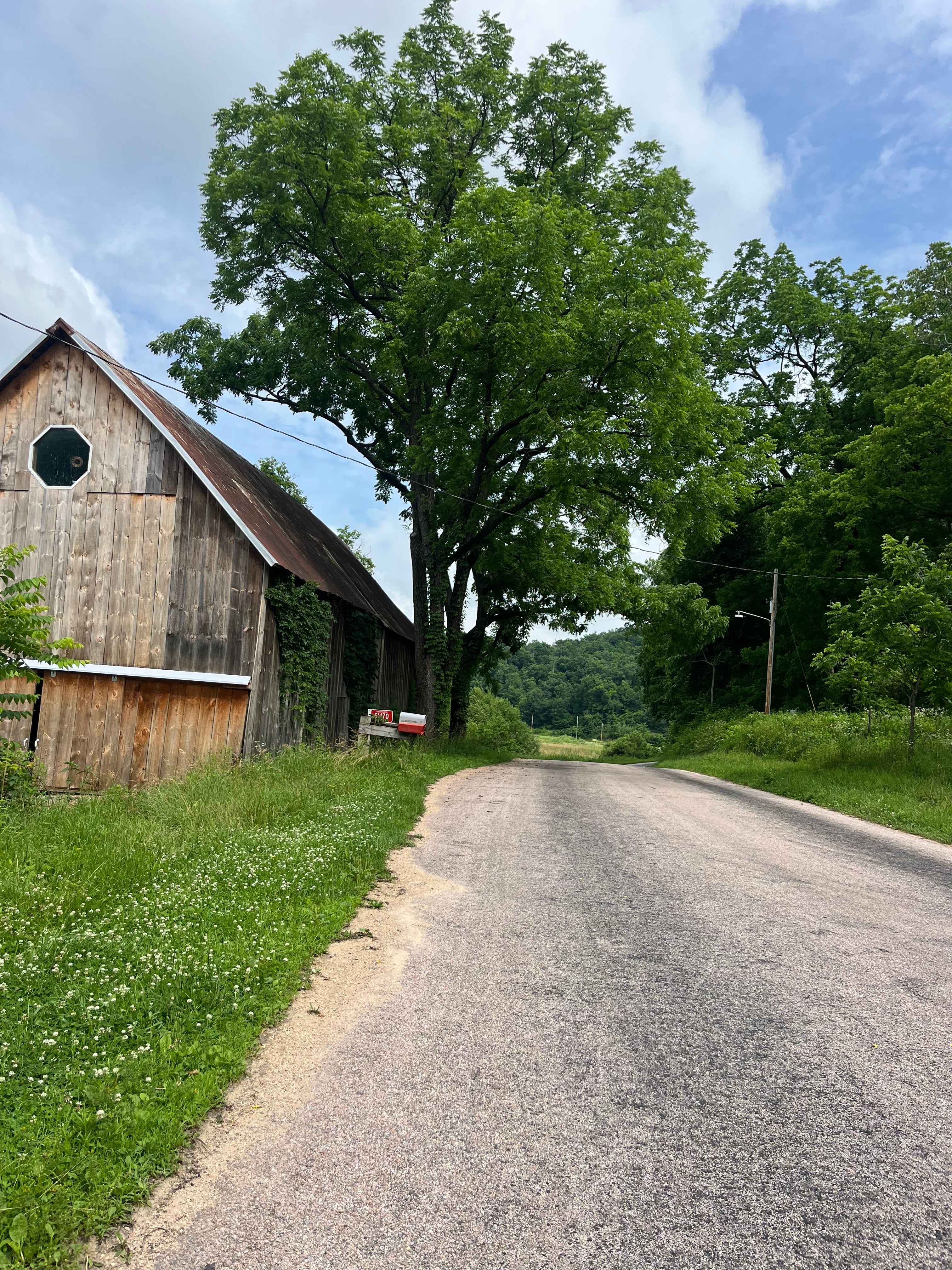 🦫 Flutterby 🦋 Farm 👩🏽🌾