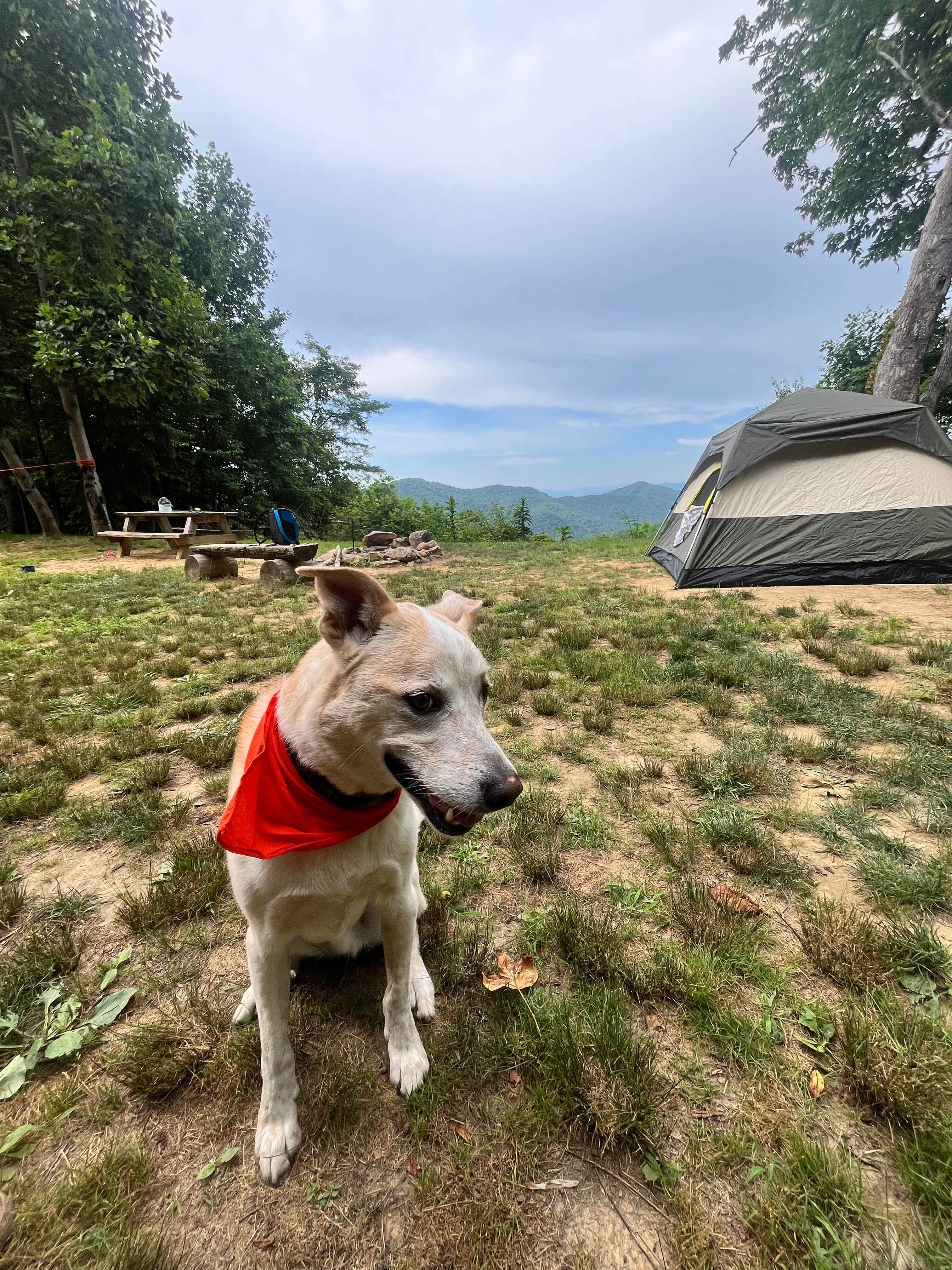 Lil Snowbird Farm Primitive Camping