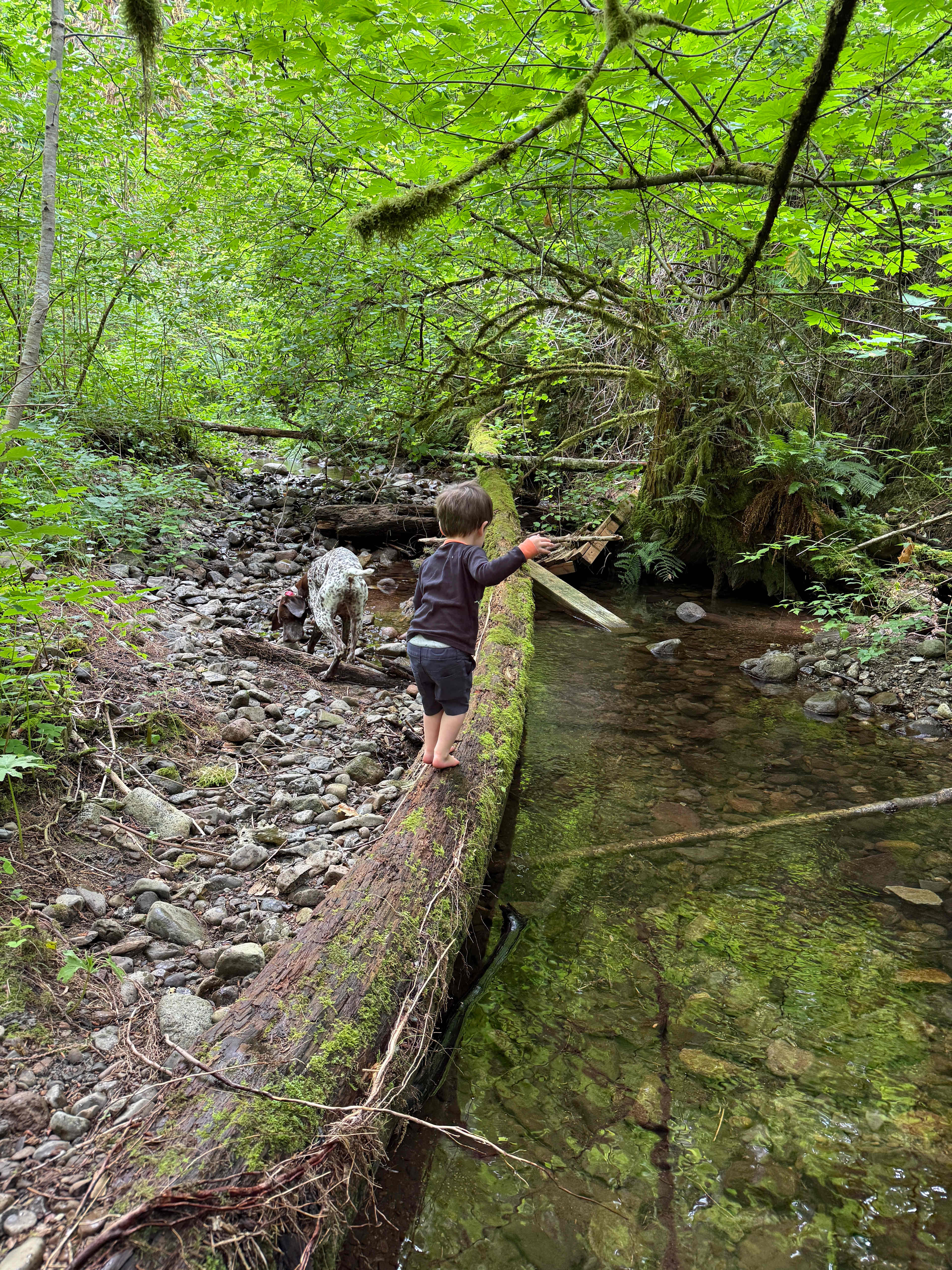 Lake Merwin Getaway