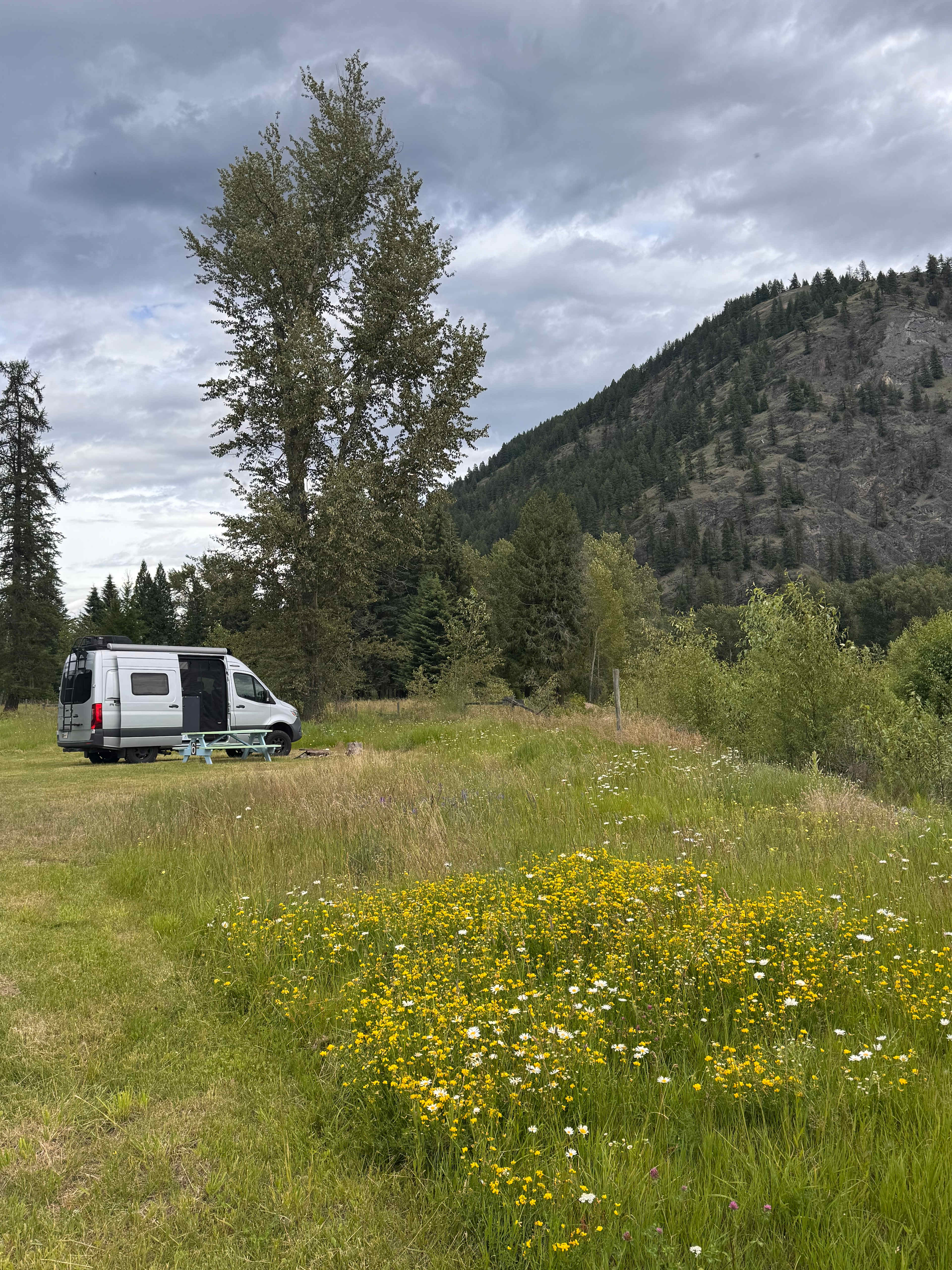 Site 6