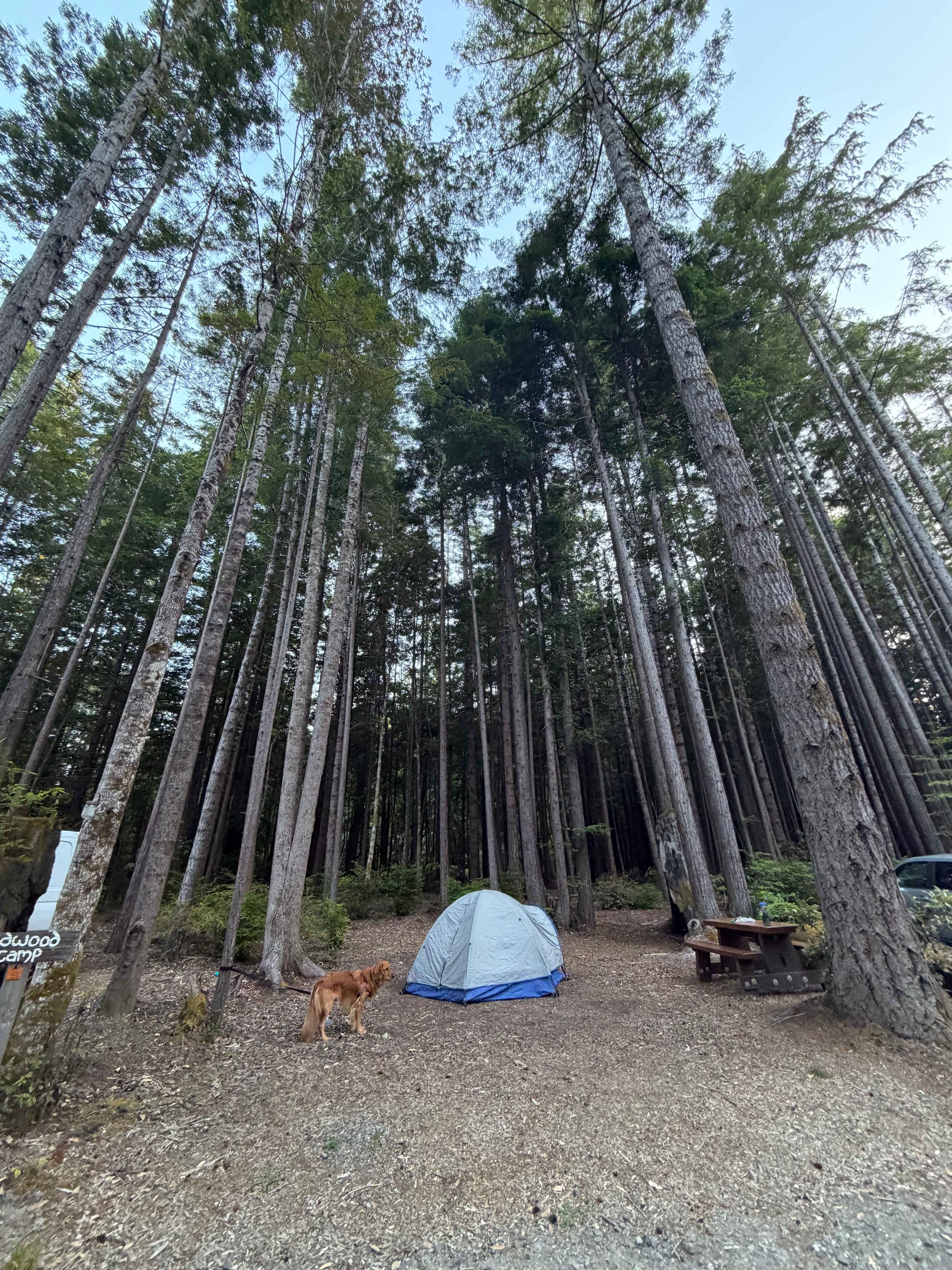 Heartwood Mendocino