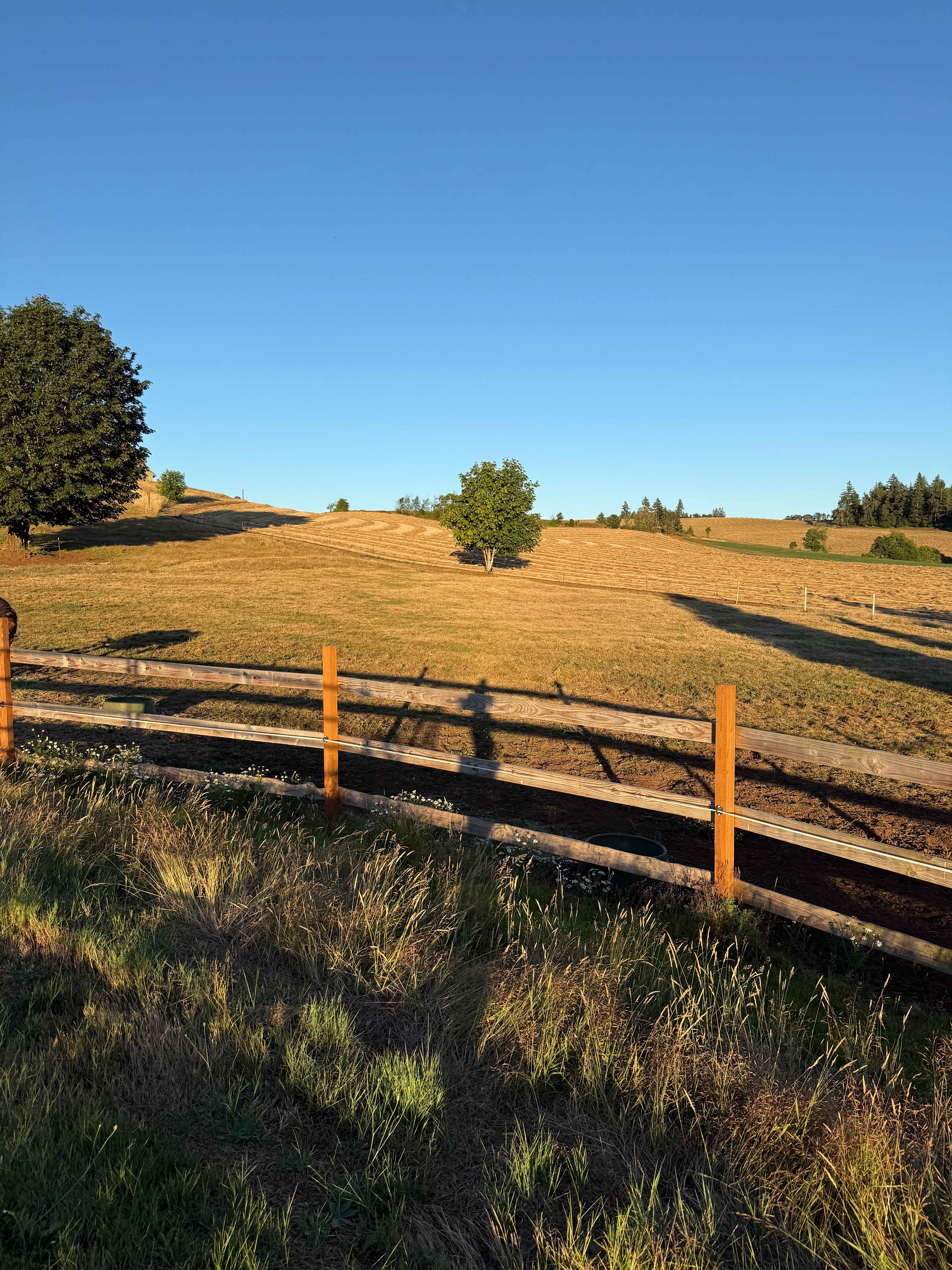 Ruah Ranch