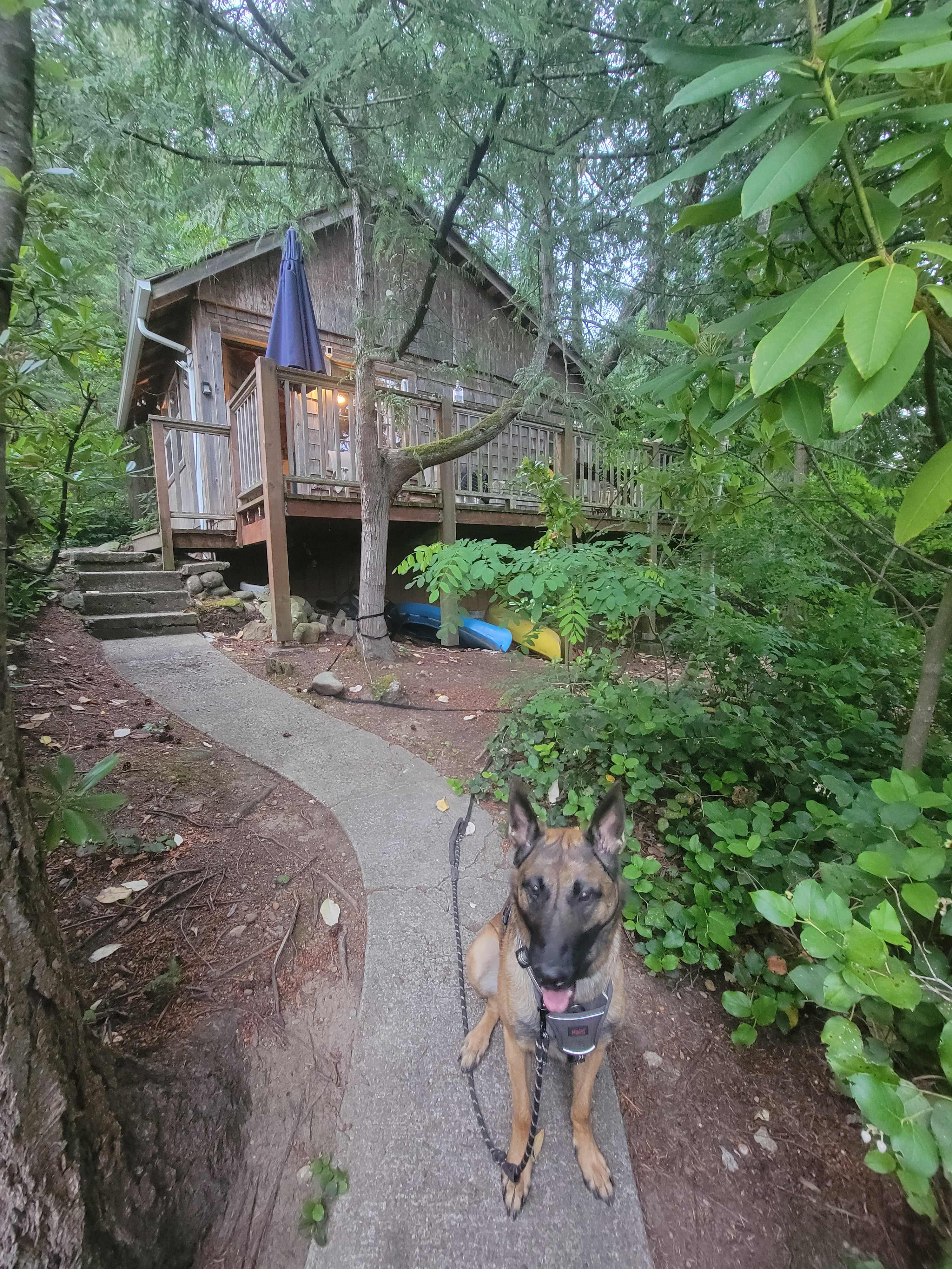 Pipe Lake Cabin