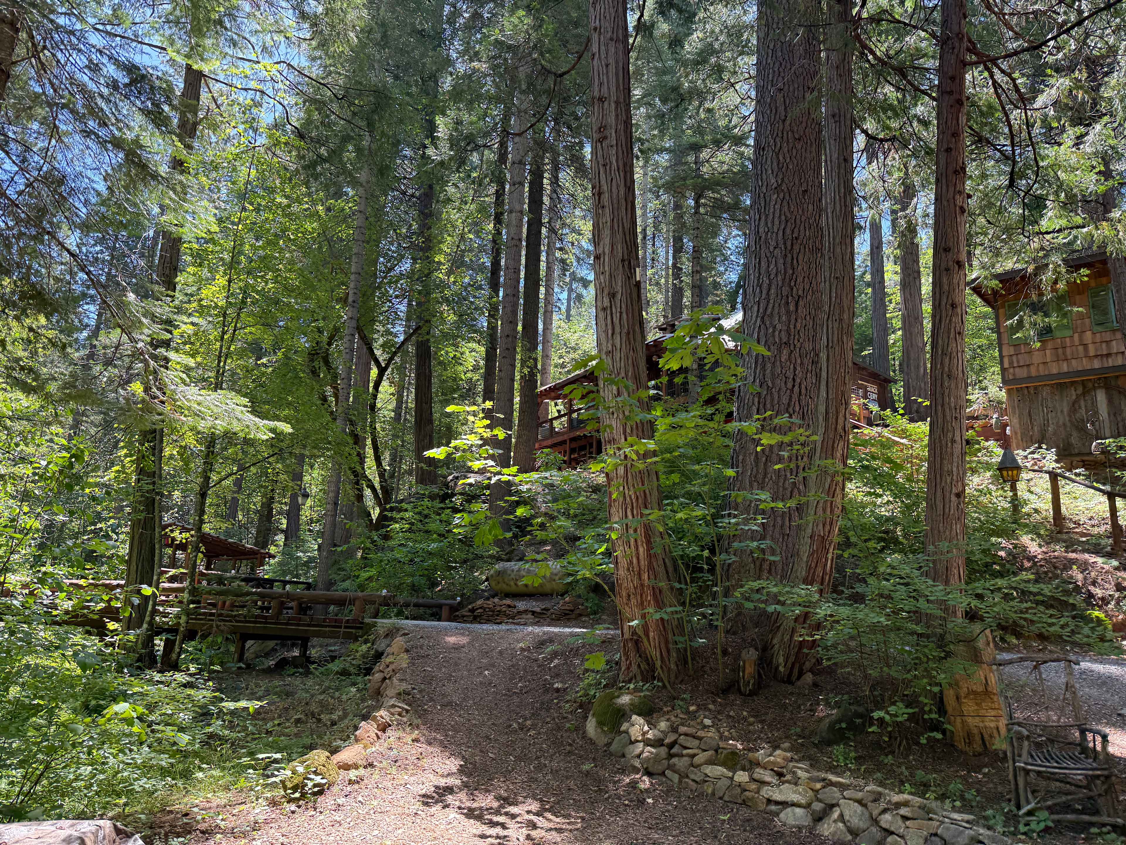 Creekside Camping on Love Creek
