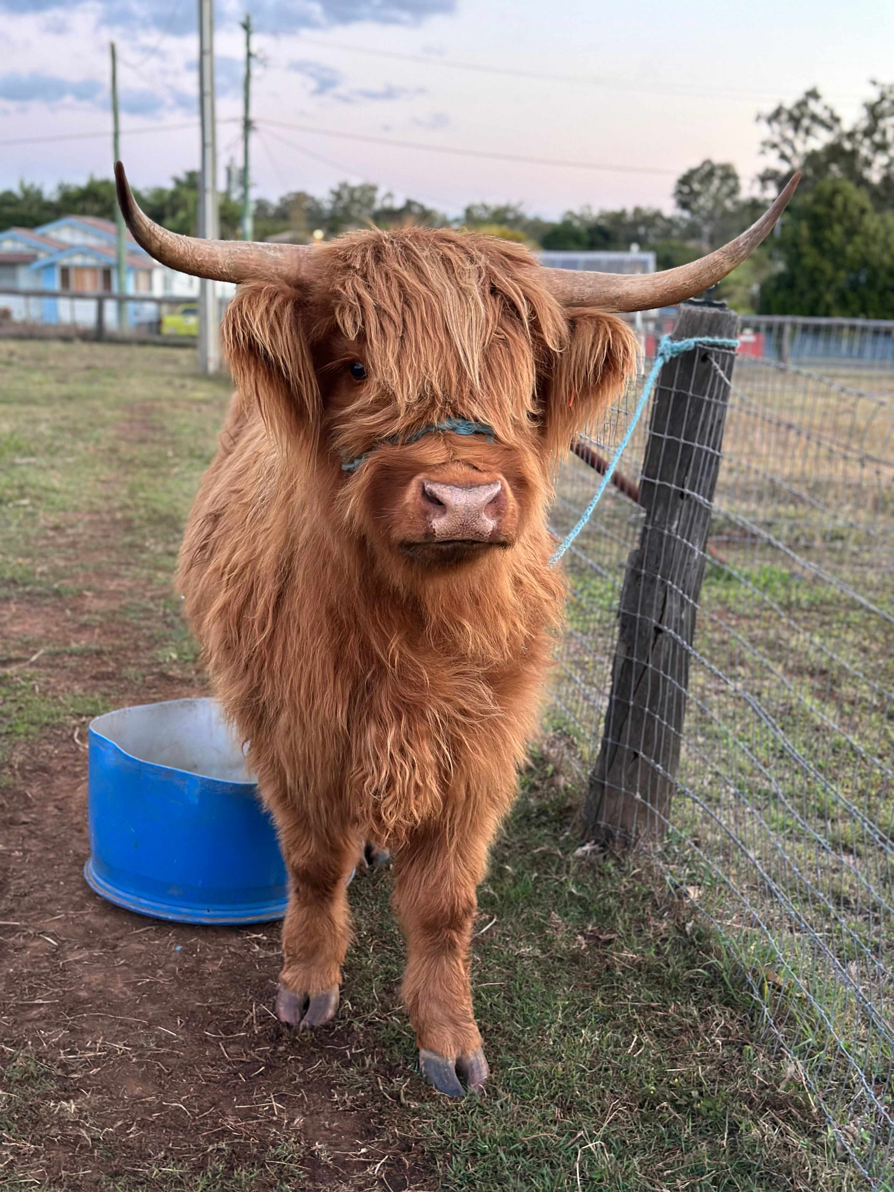 My new friend 