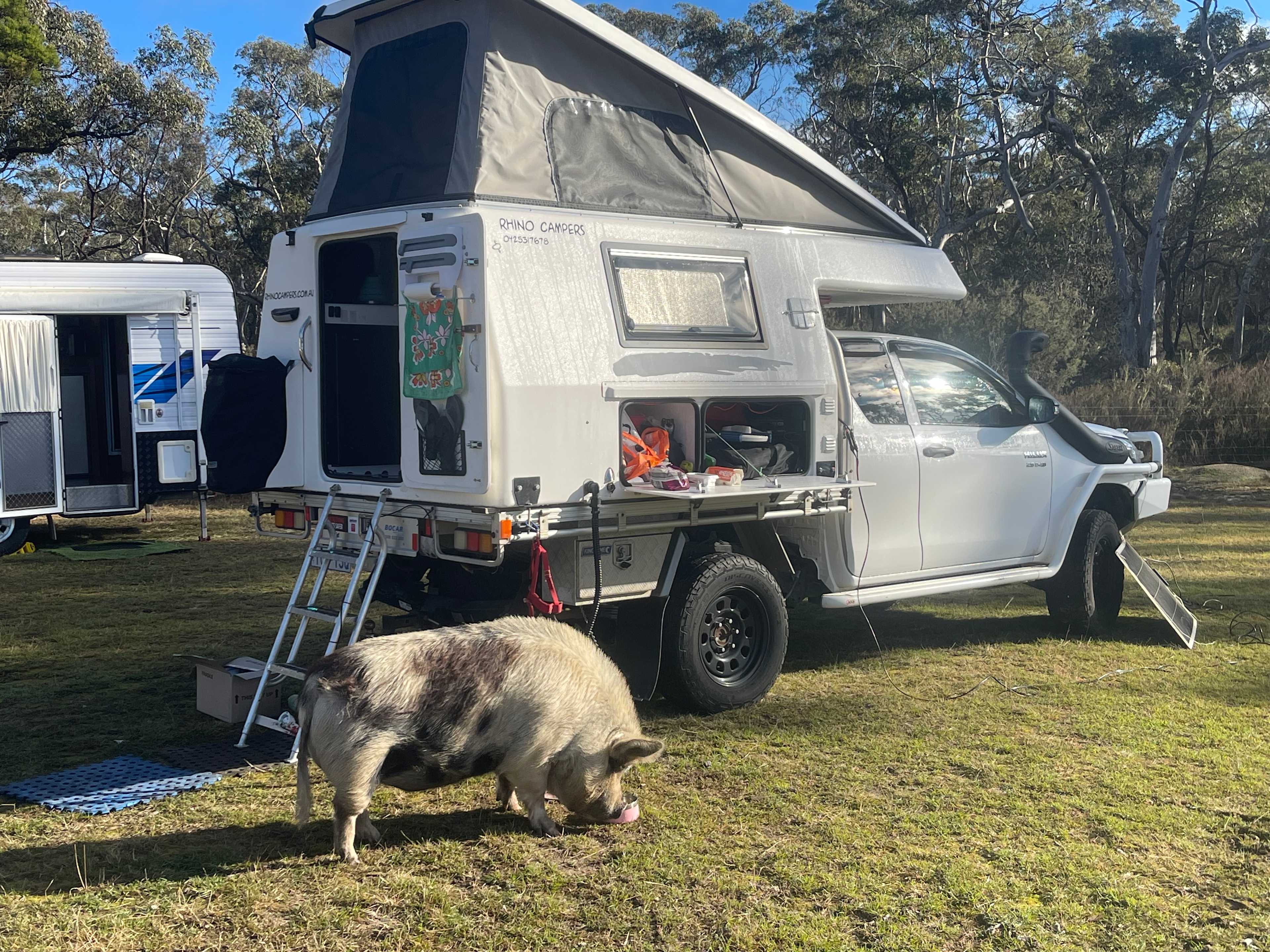 Truffle Farm Camping
