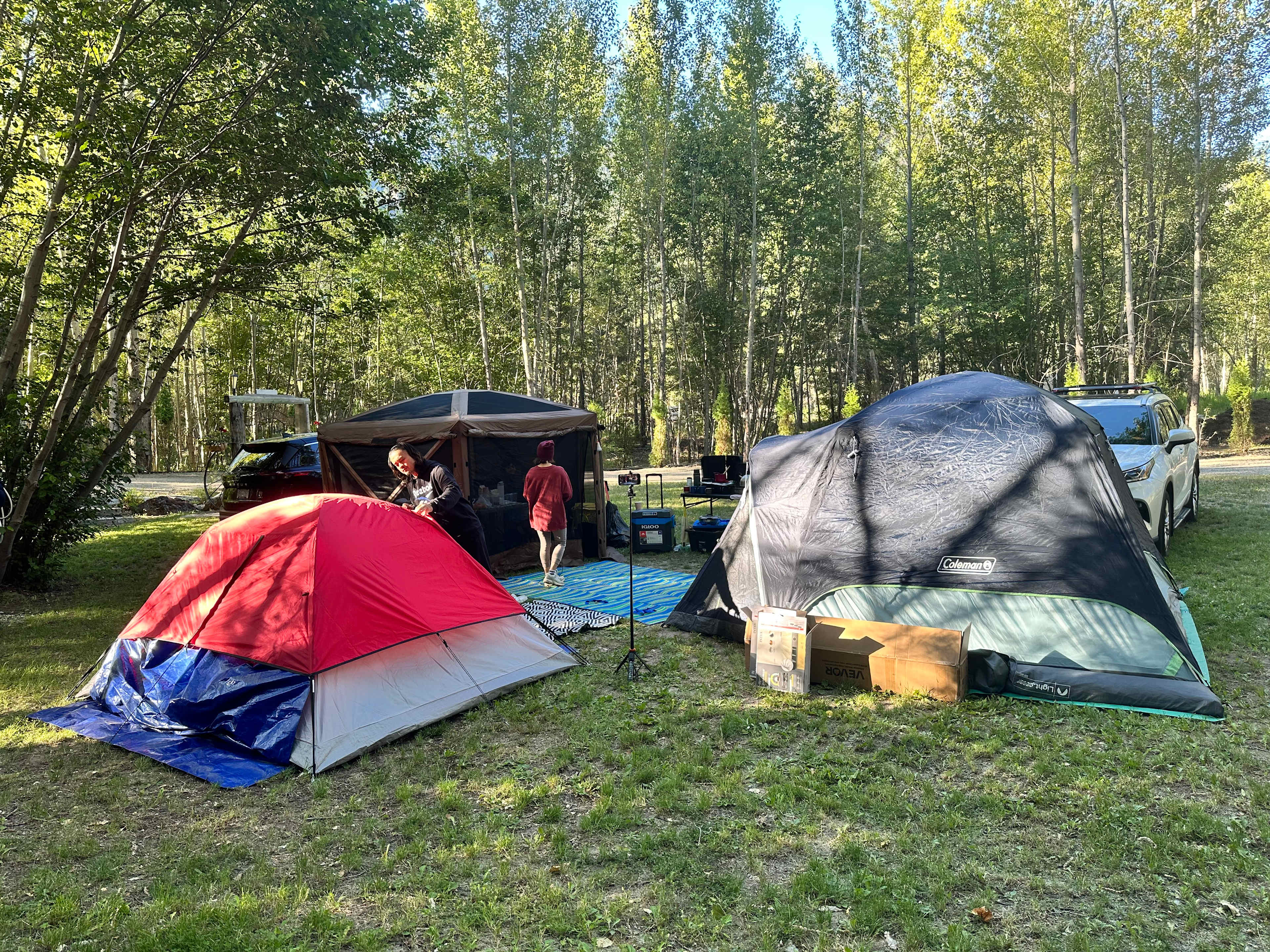 Picture of the site