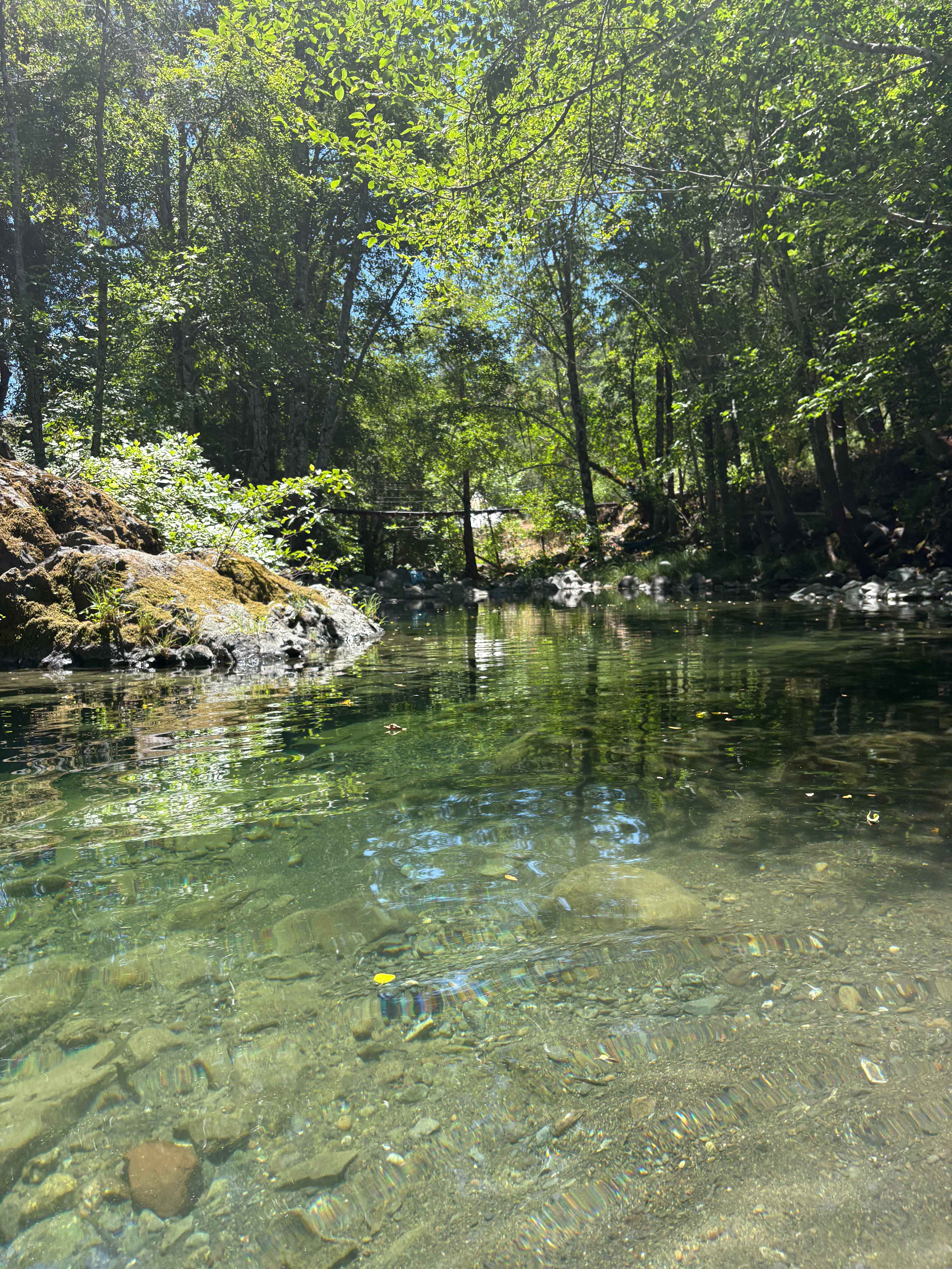 Shimmerback Ranch
