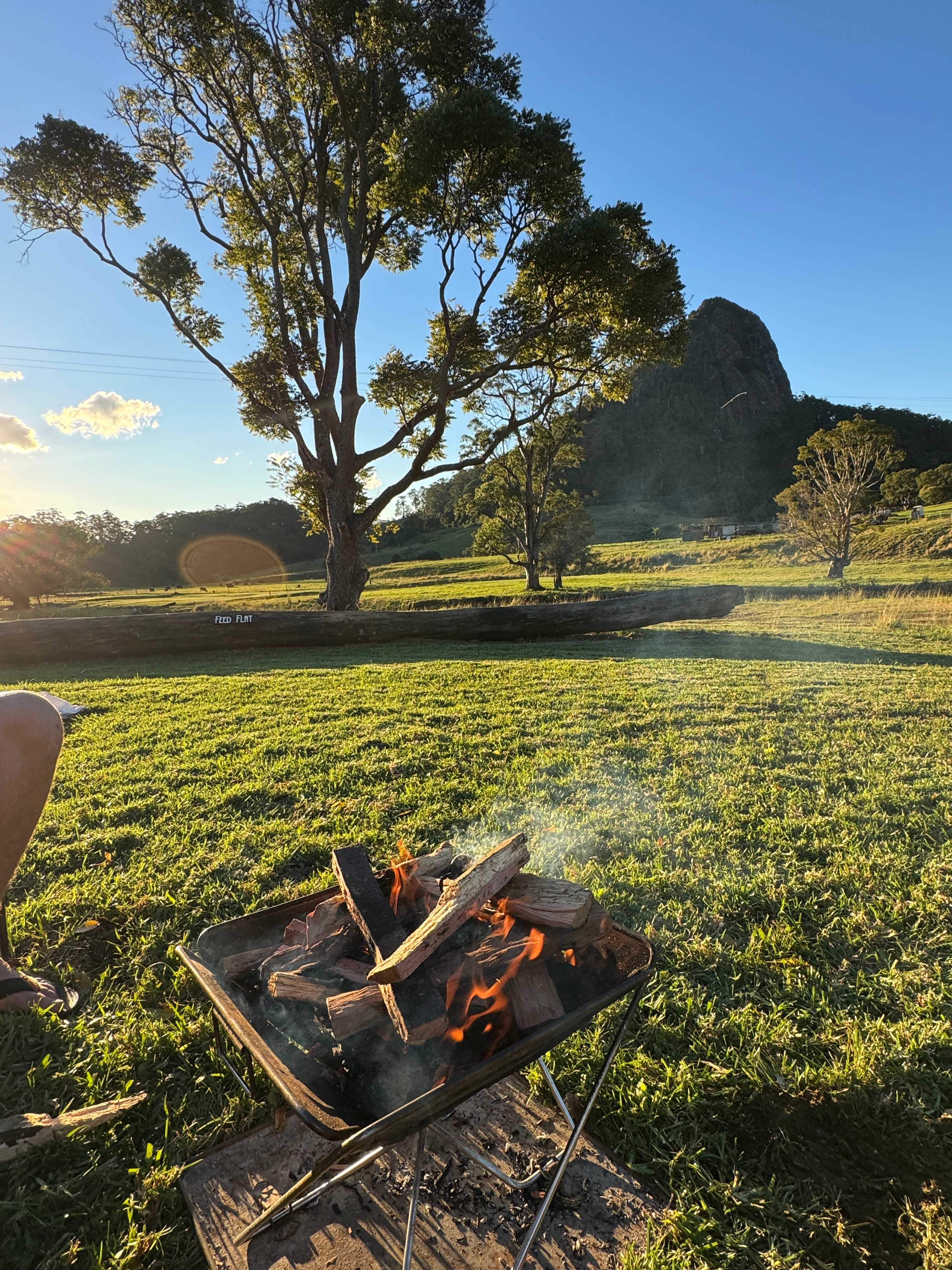 View from Feed Flat site
