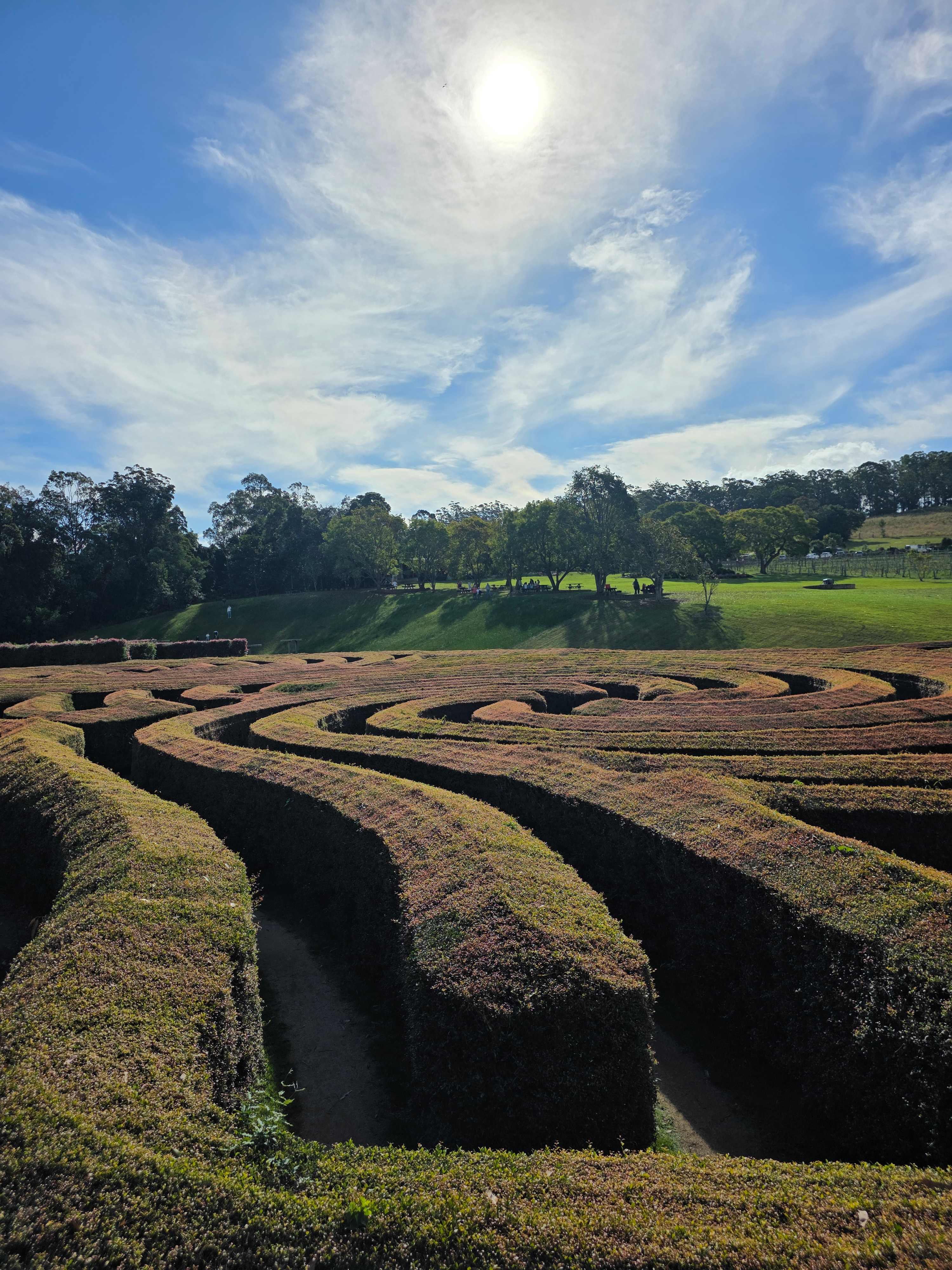 Bago Maze & Wine Mountain View Camp