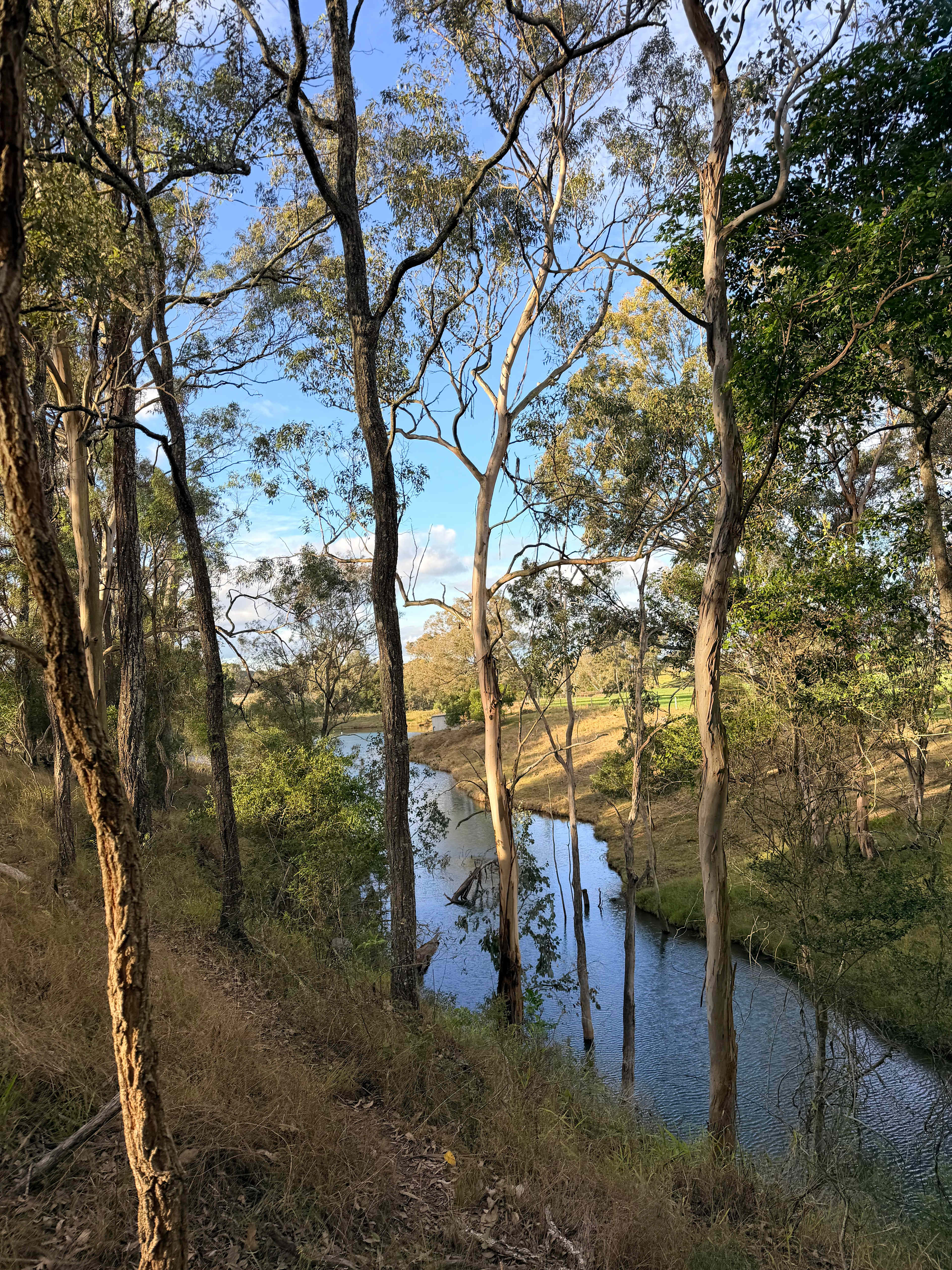 Empty Pockets creek-side Farm Stay