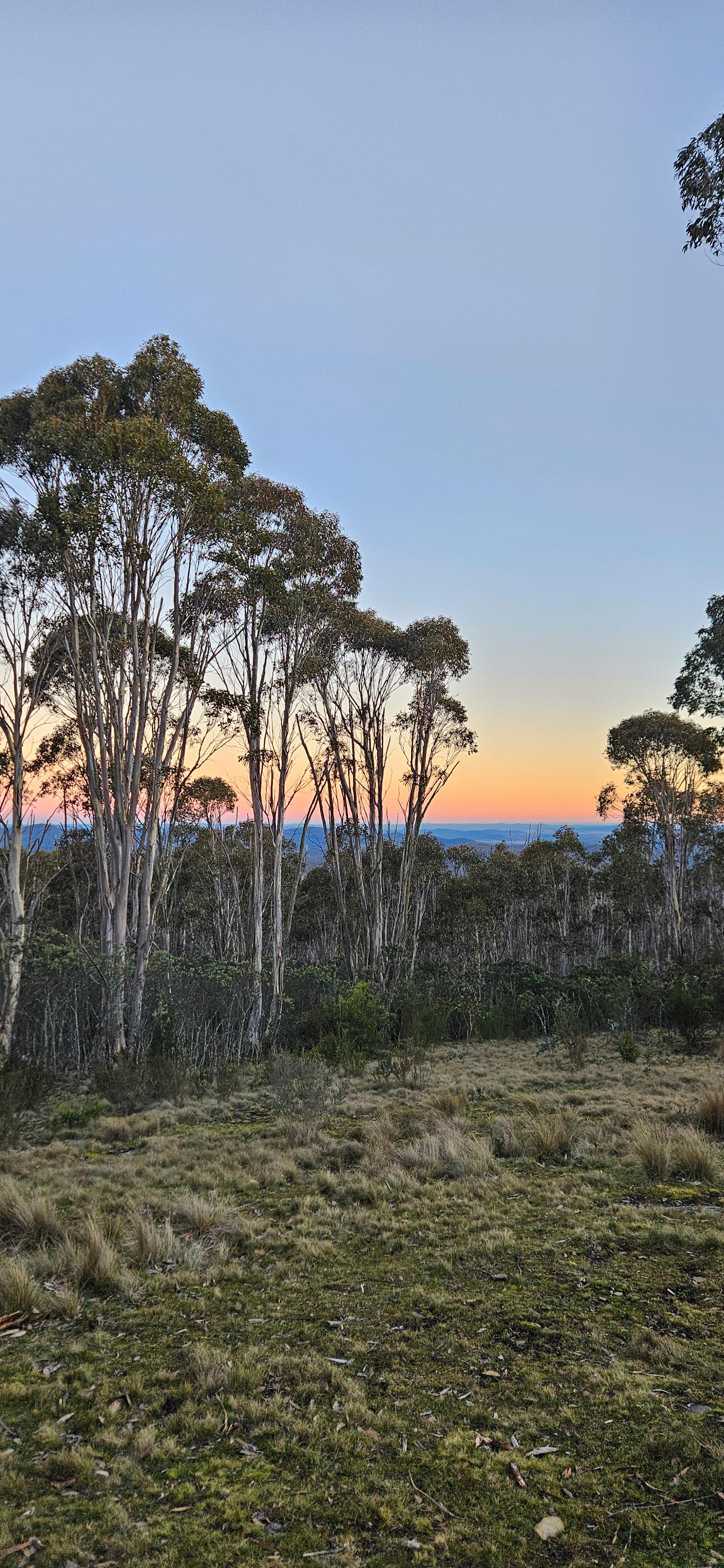 Tin Can Ridge