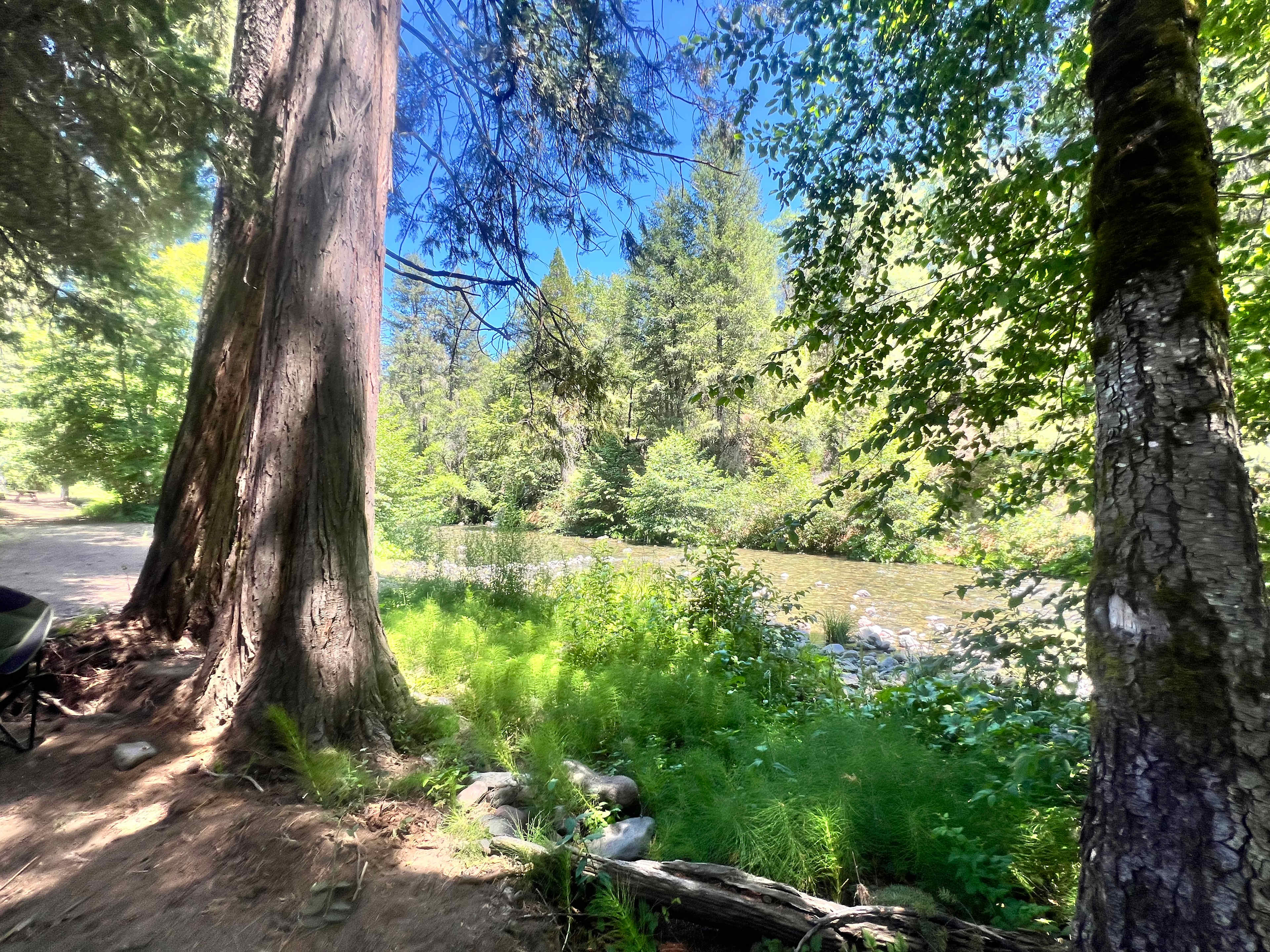 Camp Stoney Meadows