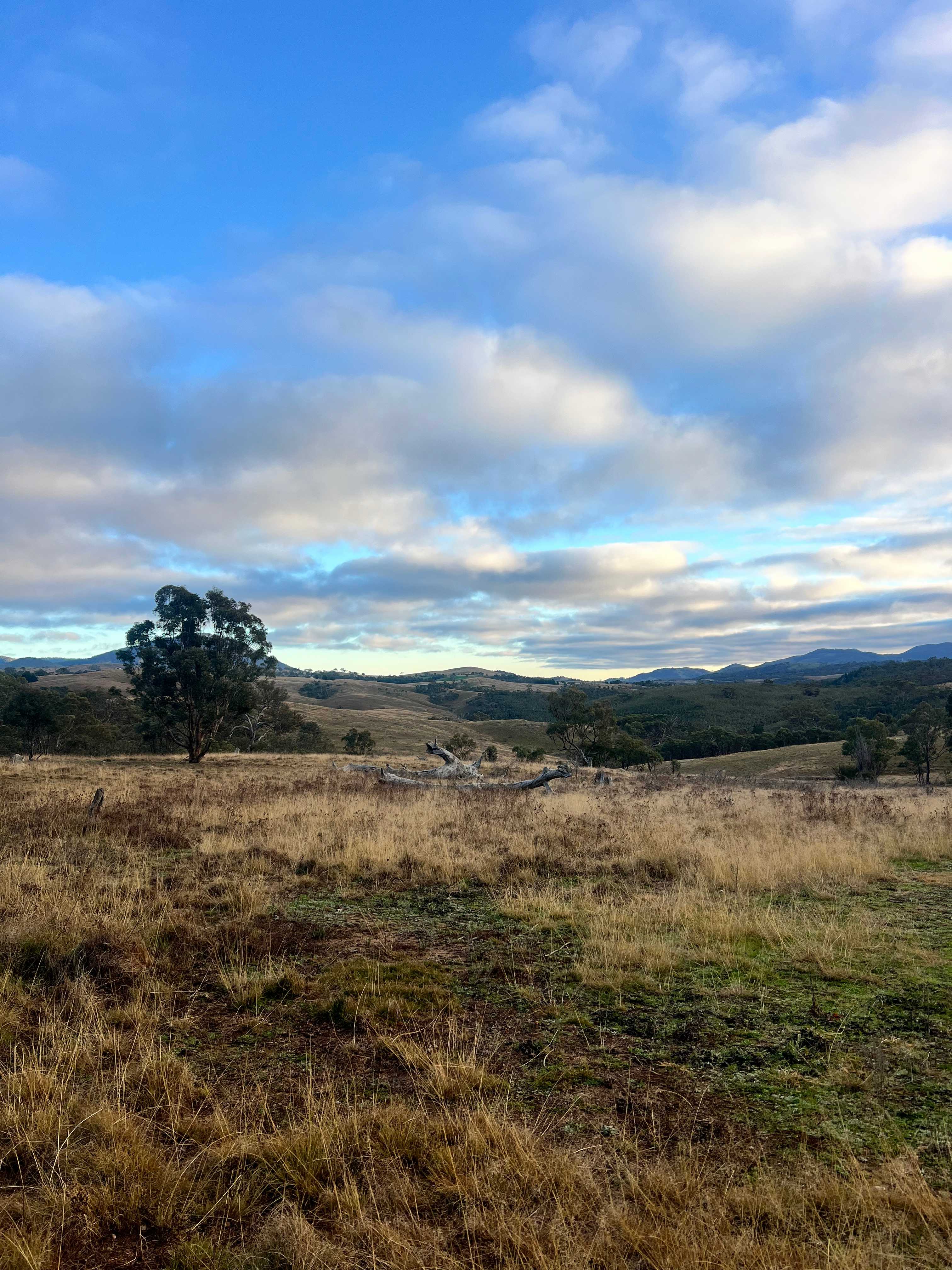 Themeda Farm Campground