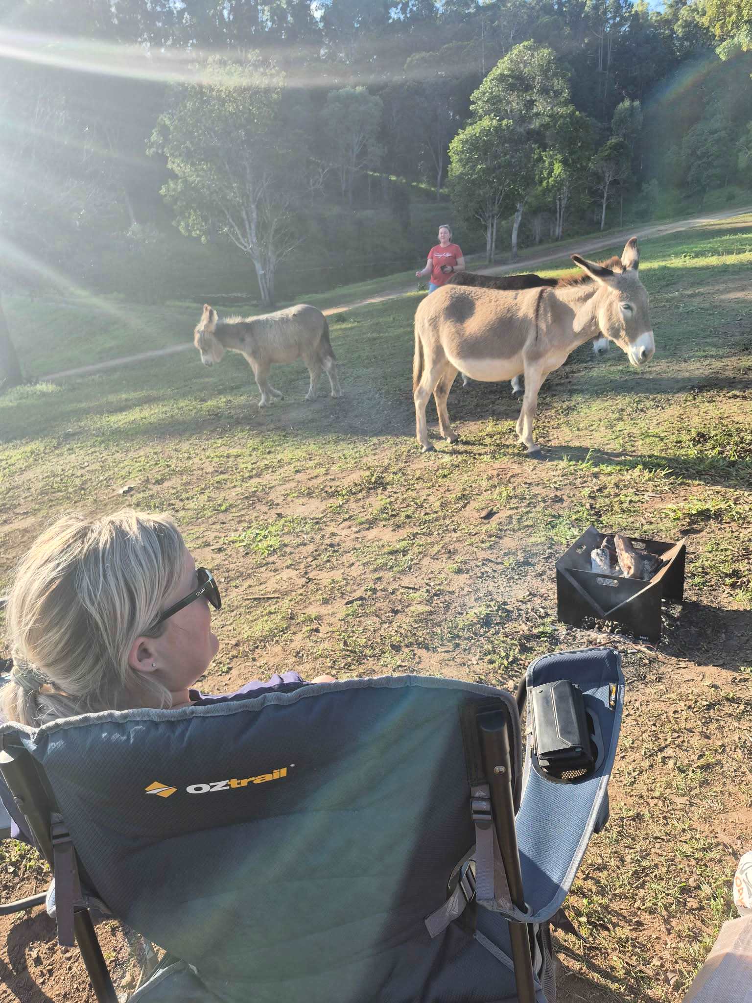 Hidden Camp Farm Stay