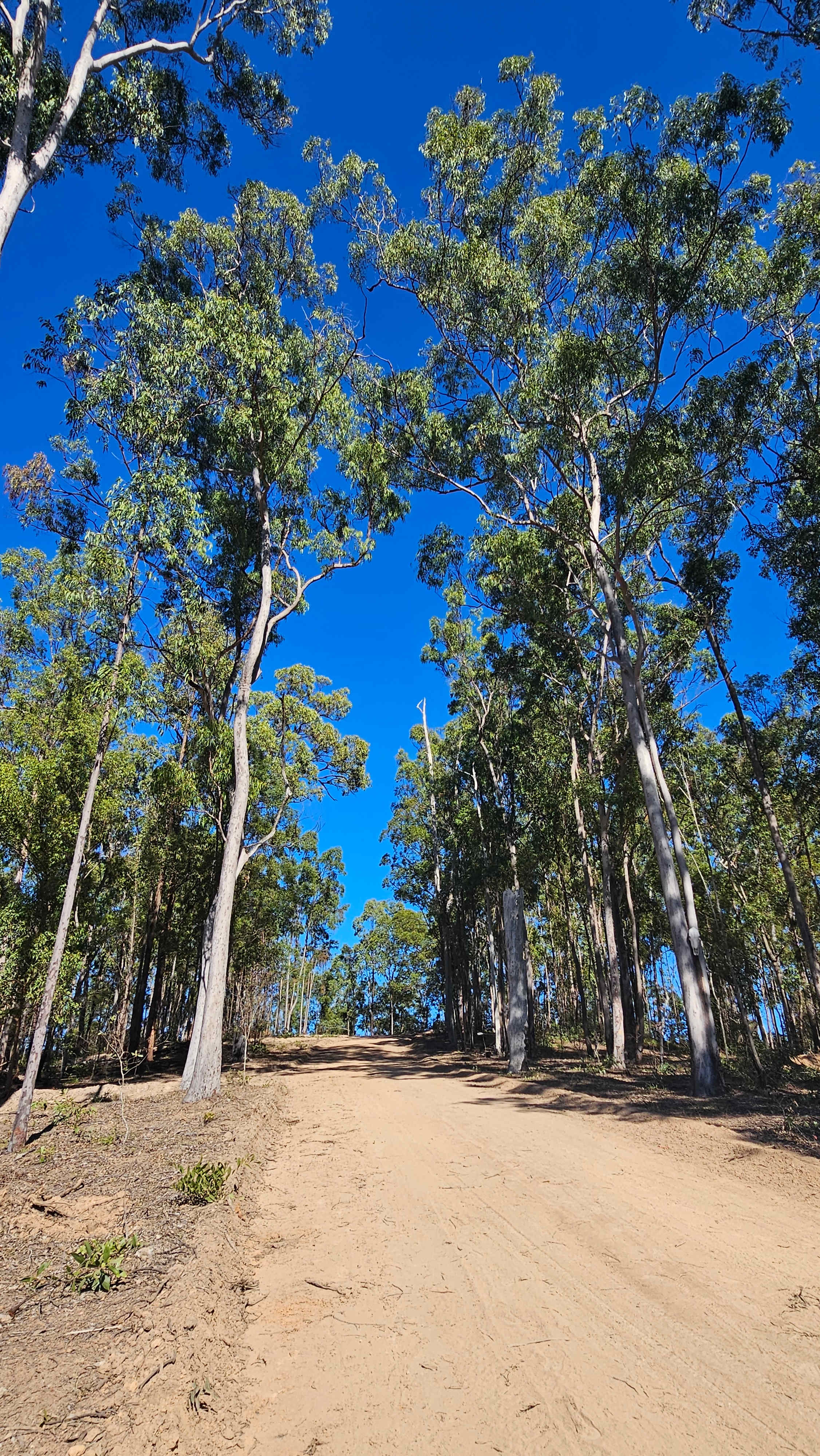 Hidden Camp Farm Stay