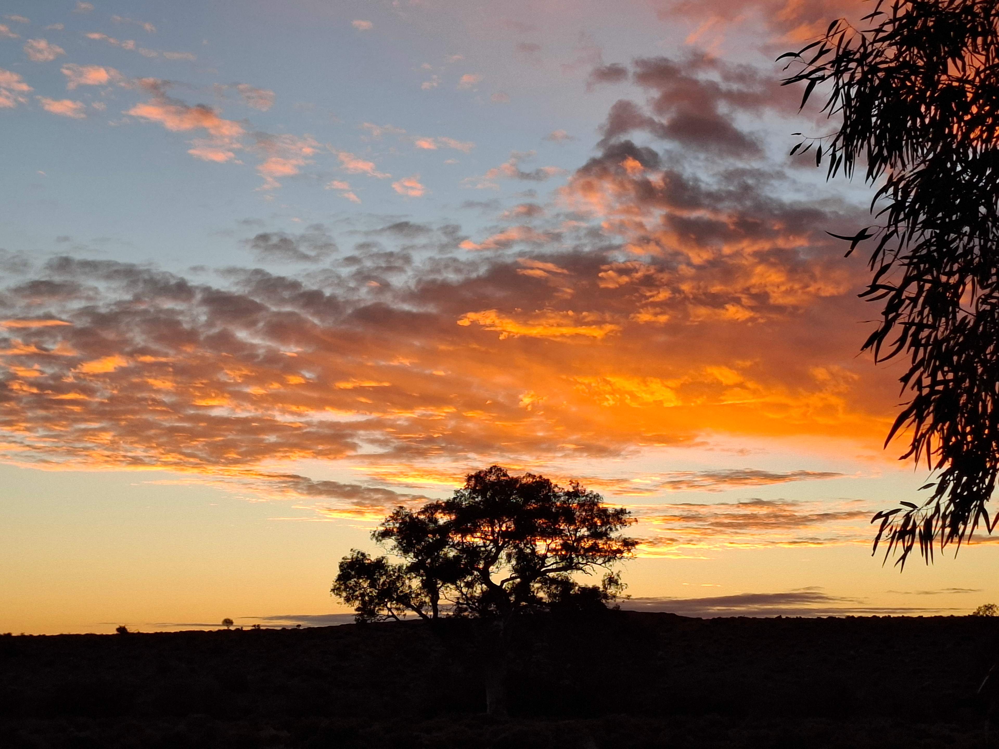 Beltana Flinders RangesTown