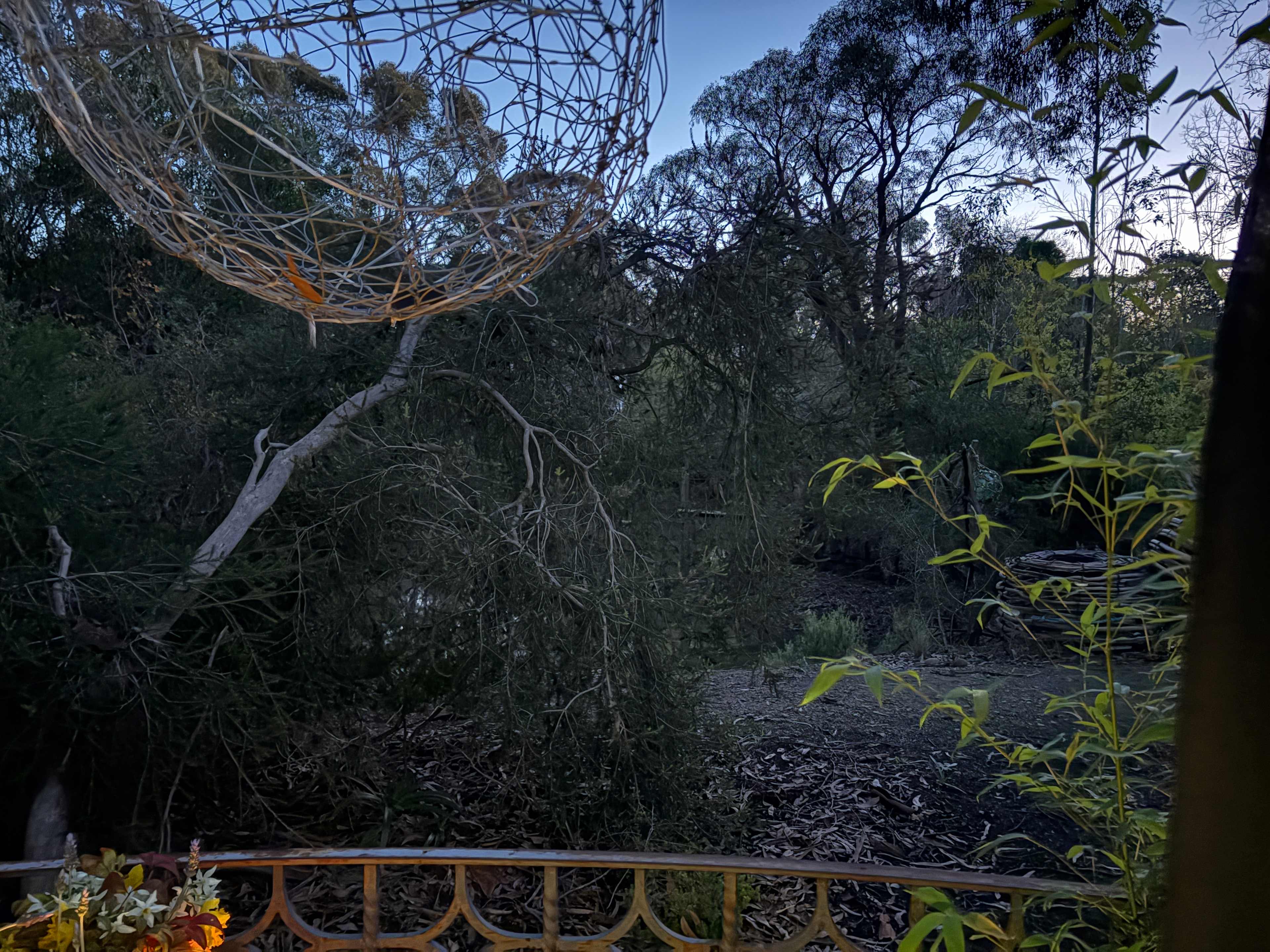 Polly's Paddock