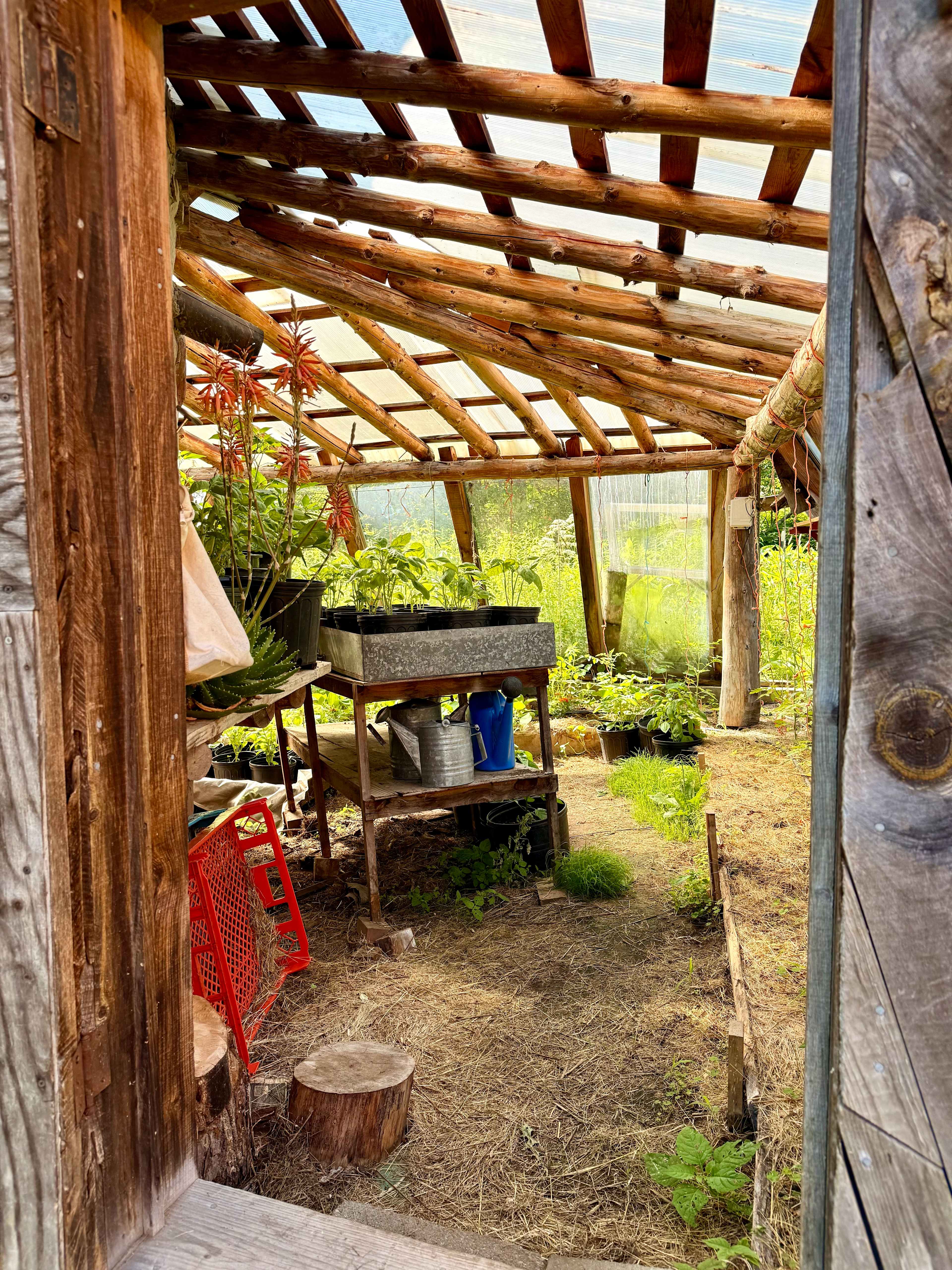Streeter Mountain Farm