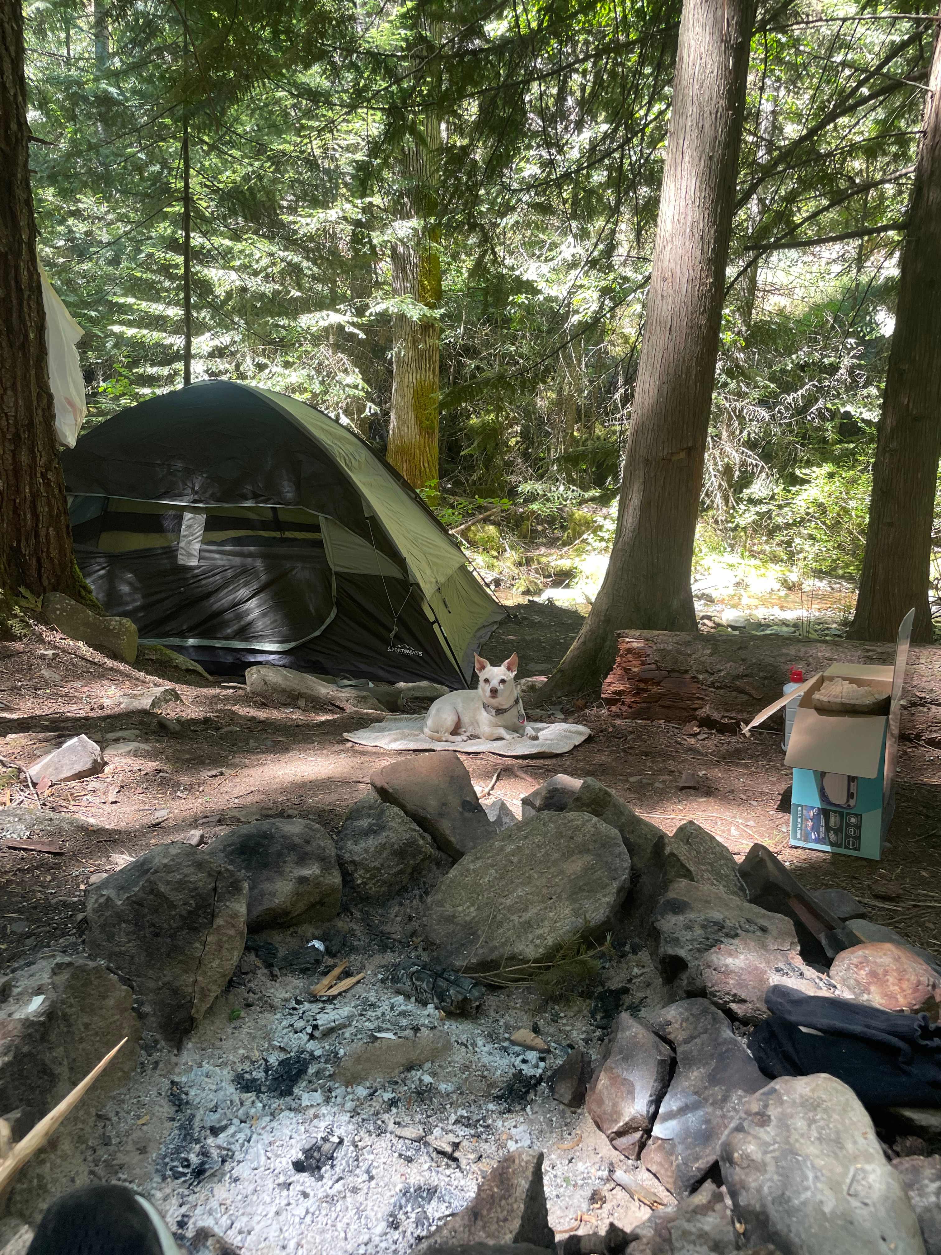 Caribou Sprite Hollow