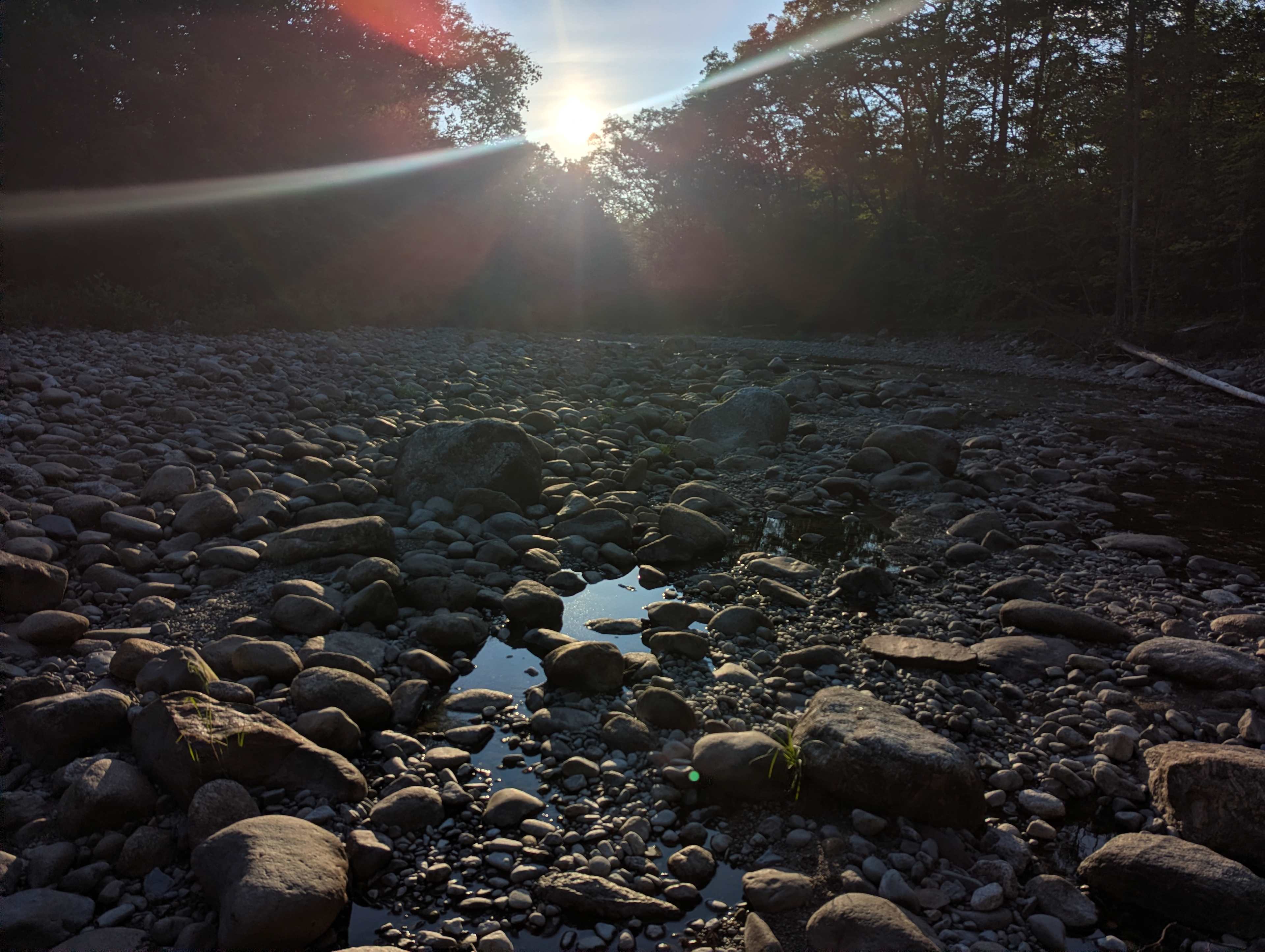 Picture of the site
