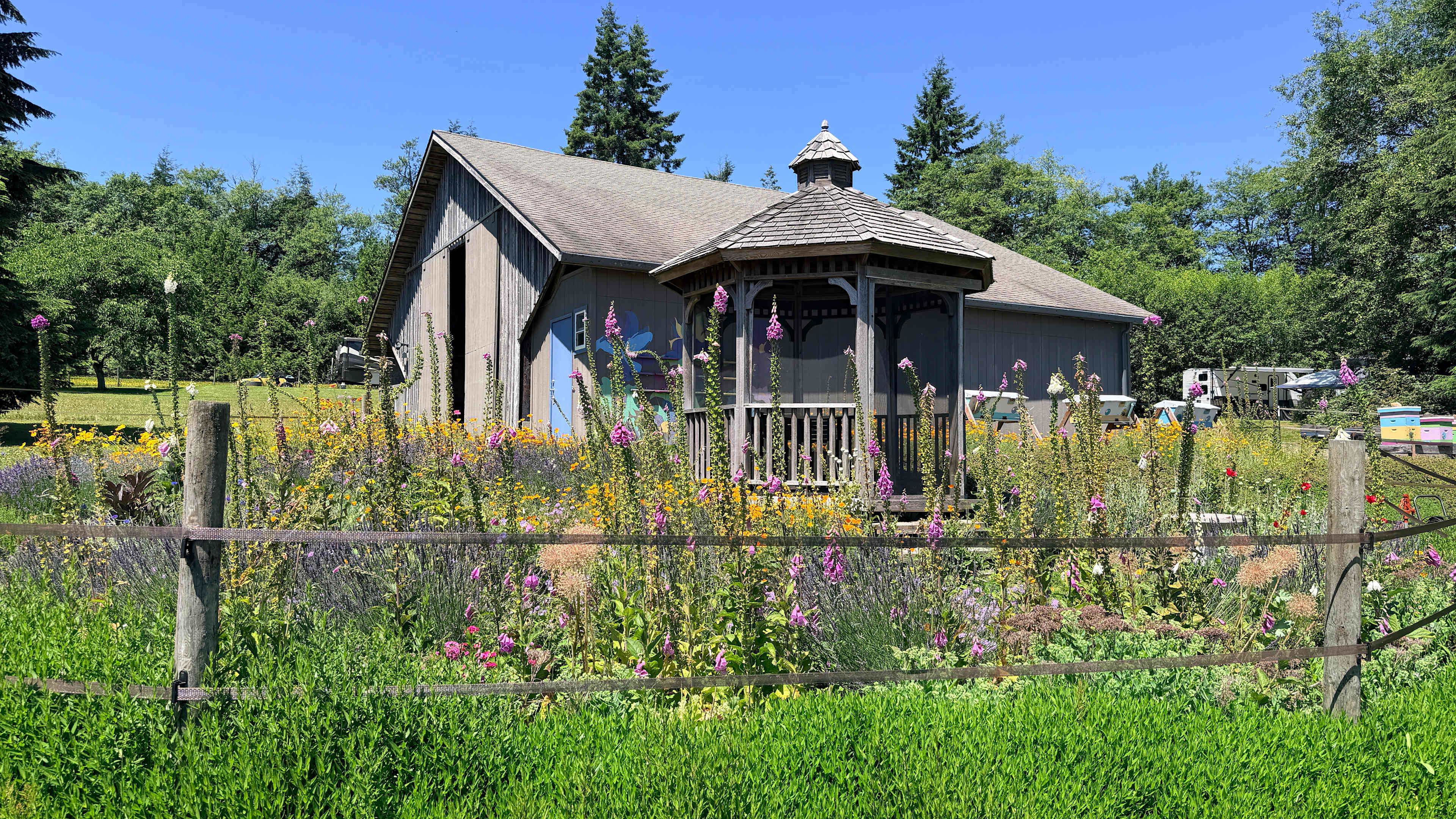 Bee Inspired Garden