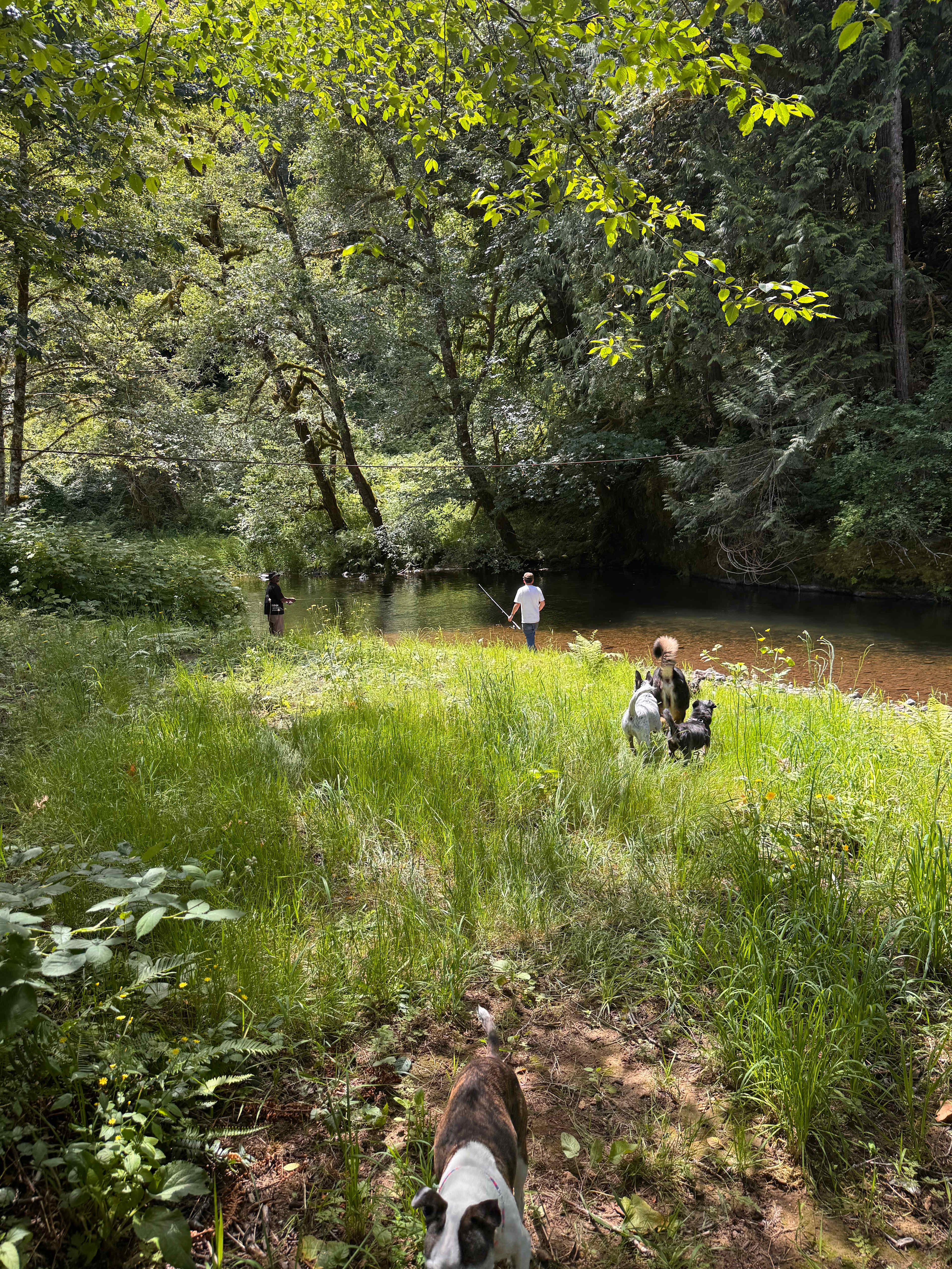 Keesee River Property