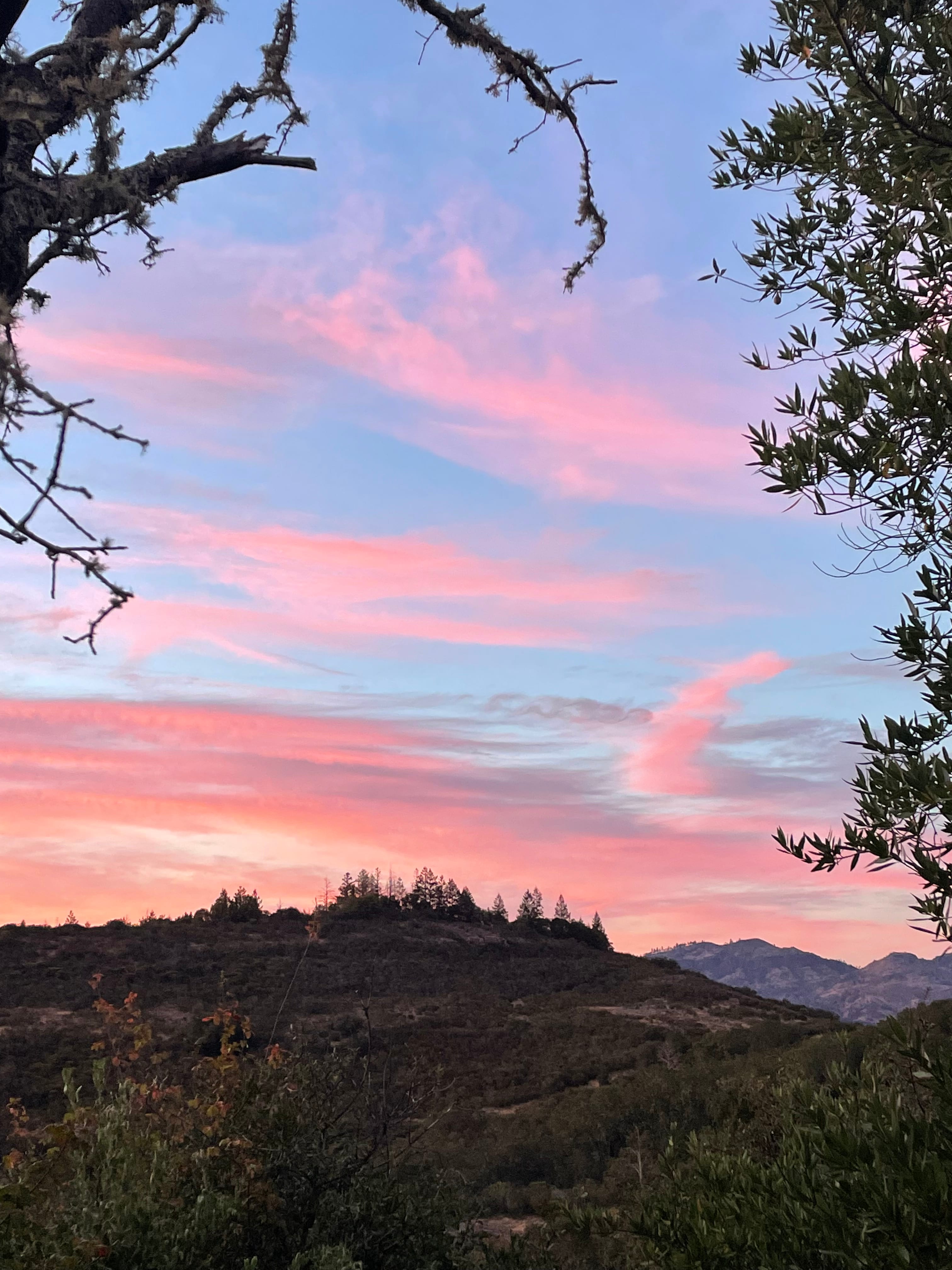 Sunset from the Coral Cabin