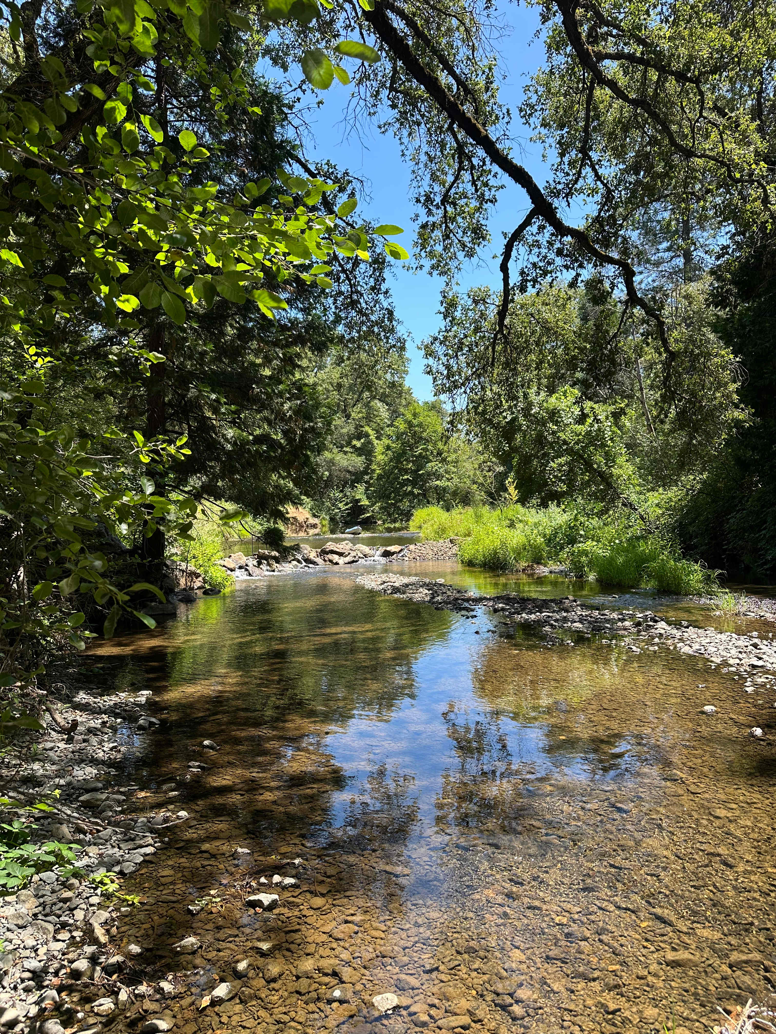 Camp Run Amuck Hollow
