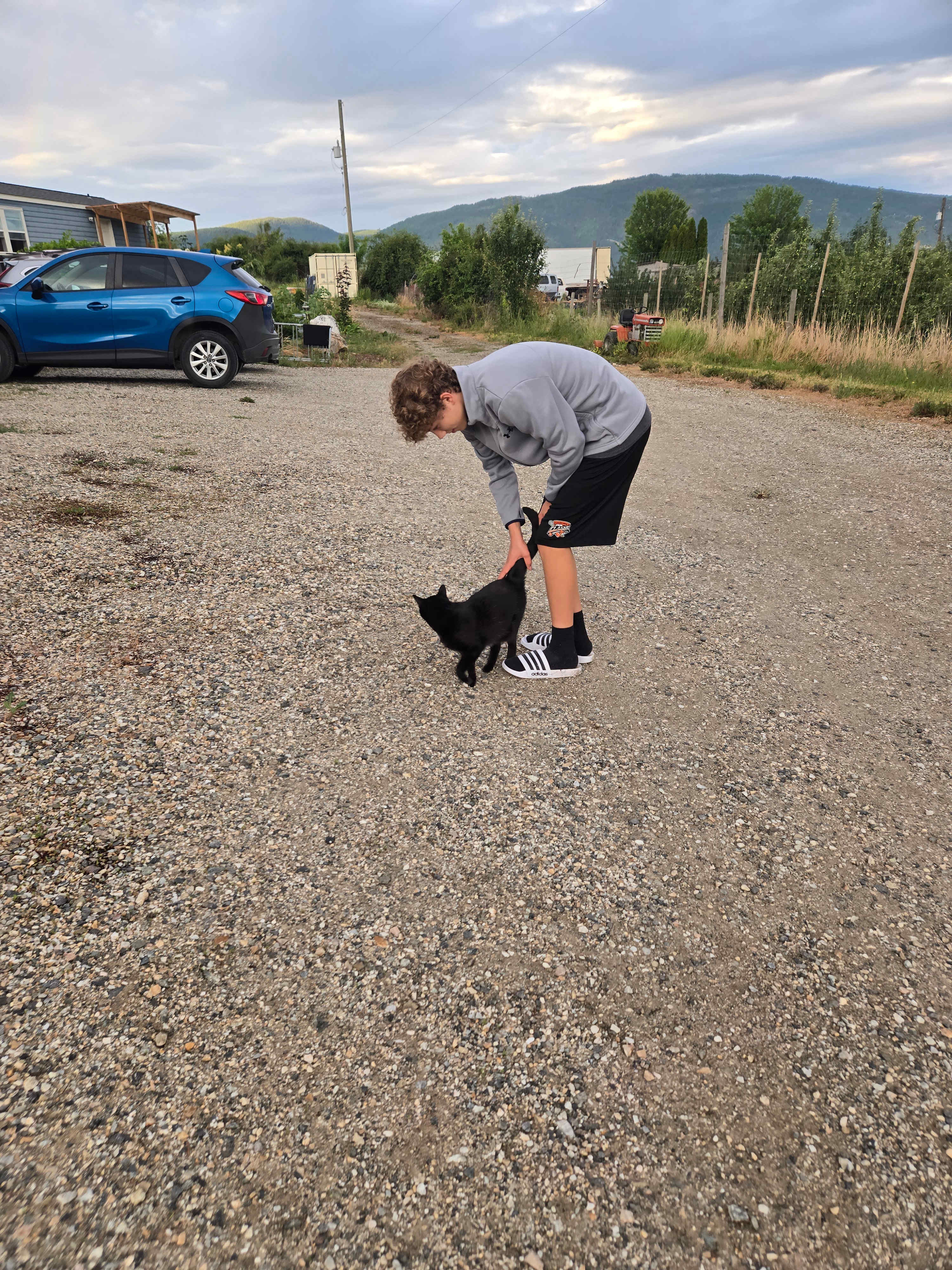 Cuddly Cat Farms