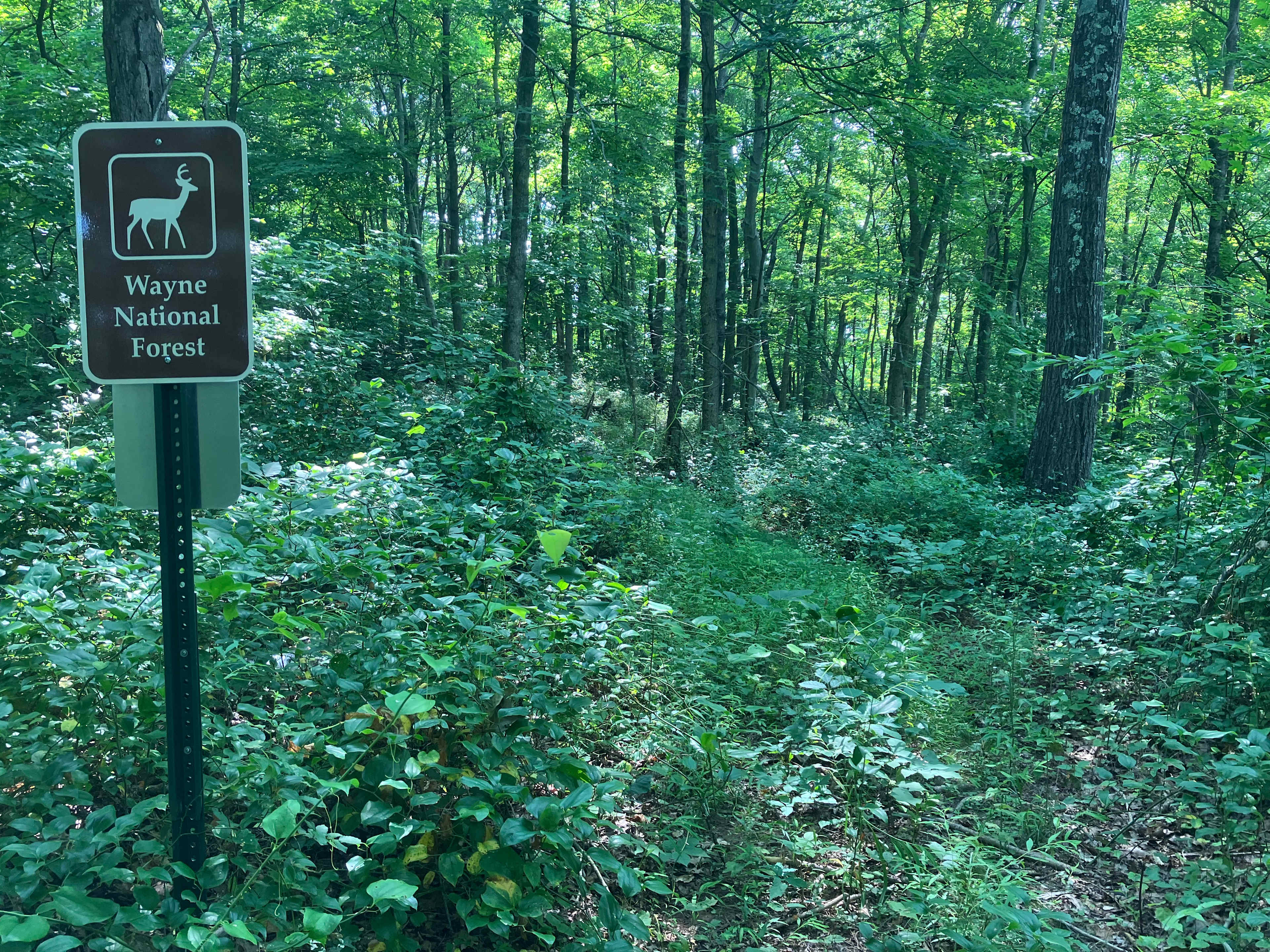Appalachian Retreat Camp
