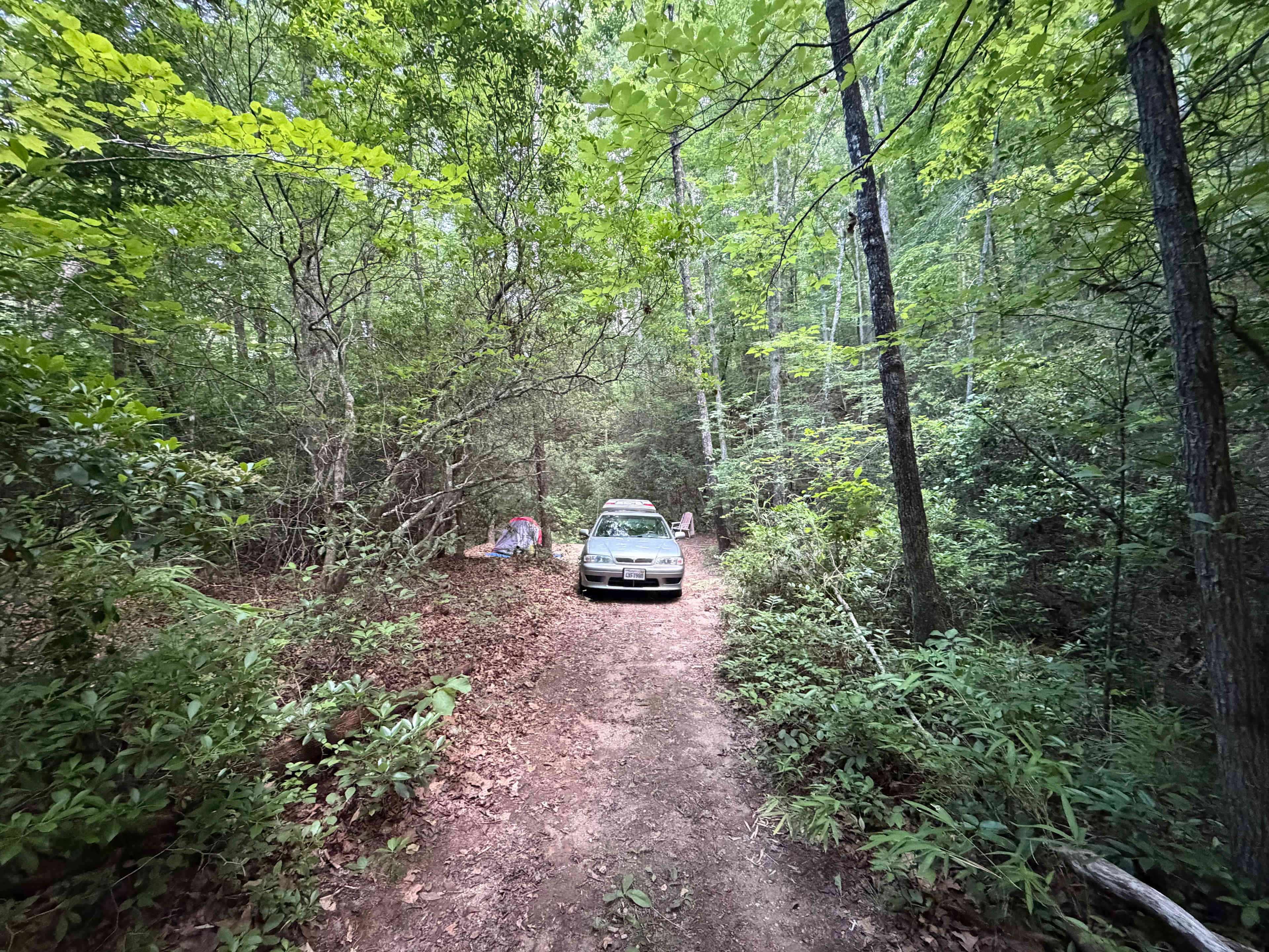 The Earth Center Camp