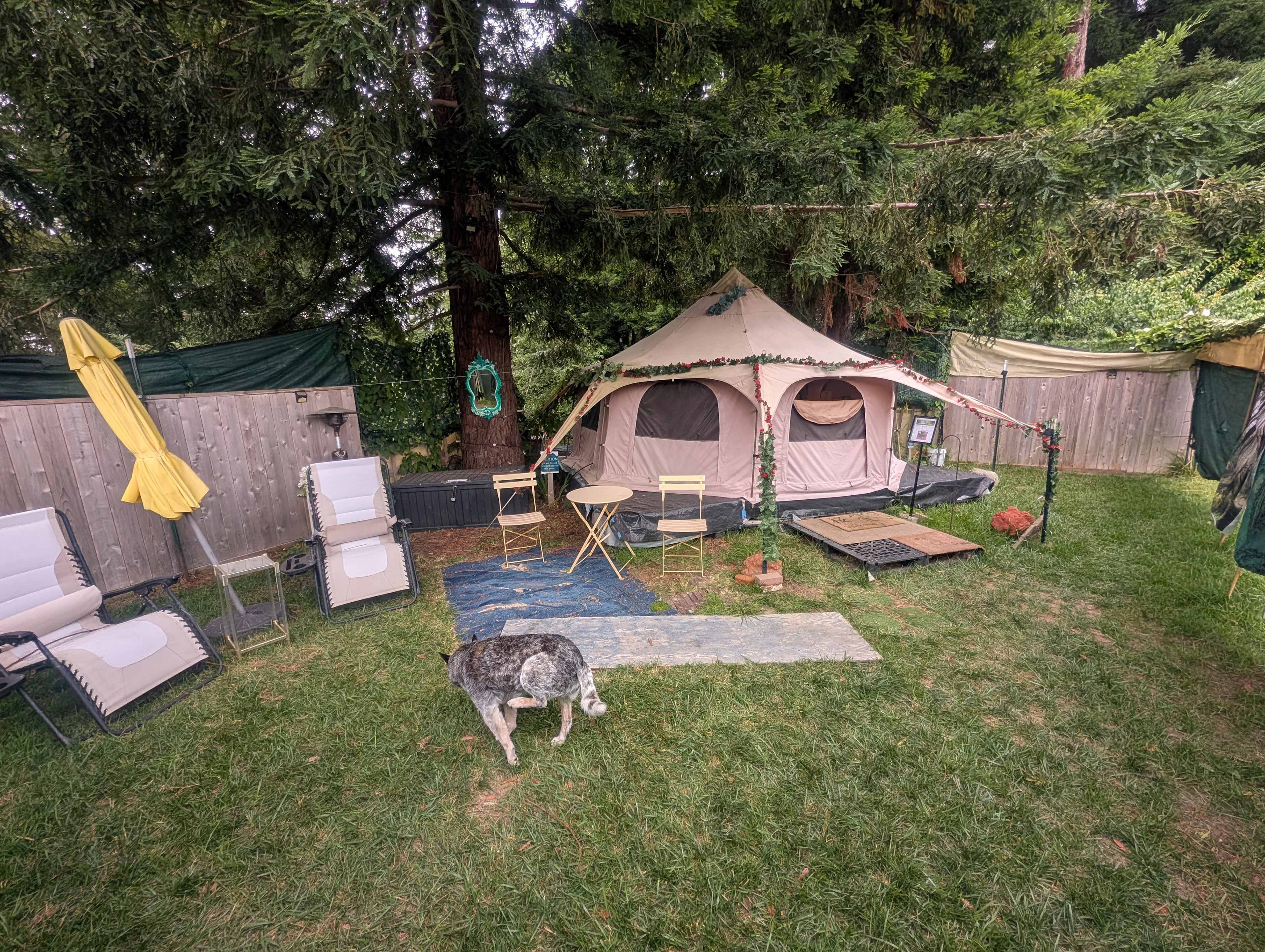 The yurt, once inside the enclosure
